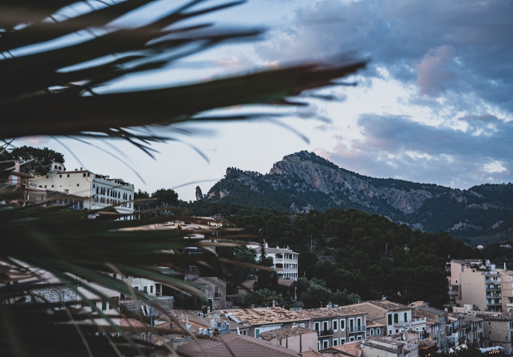 a city with mountains in the background