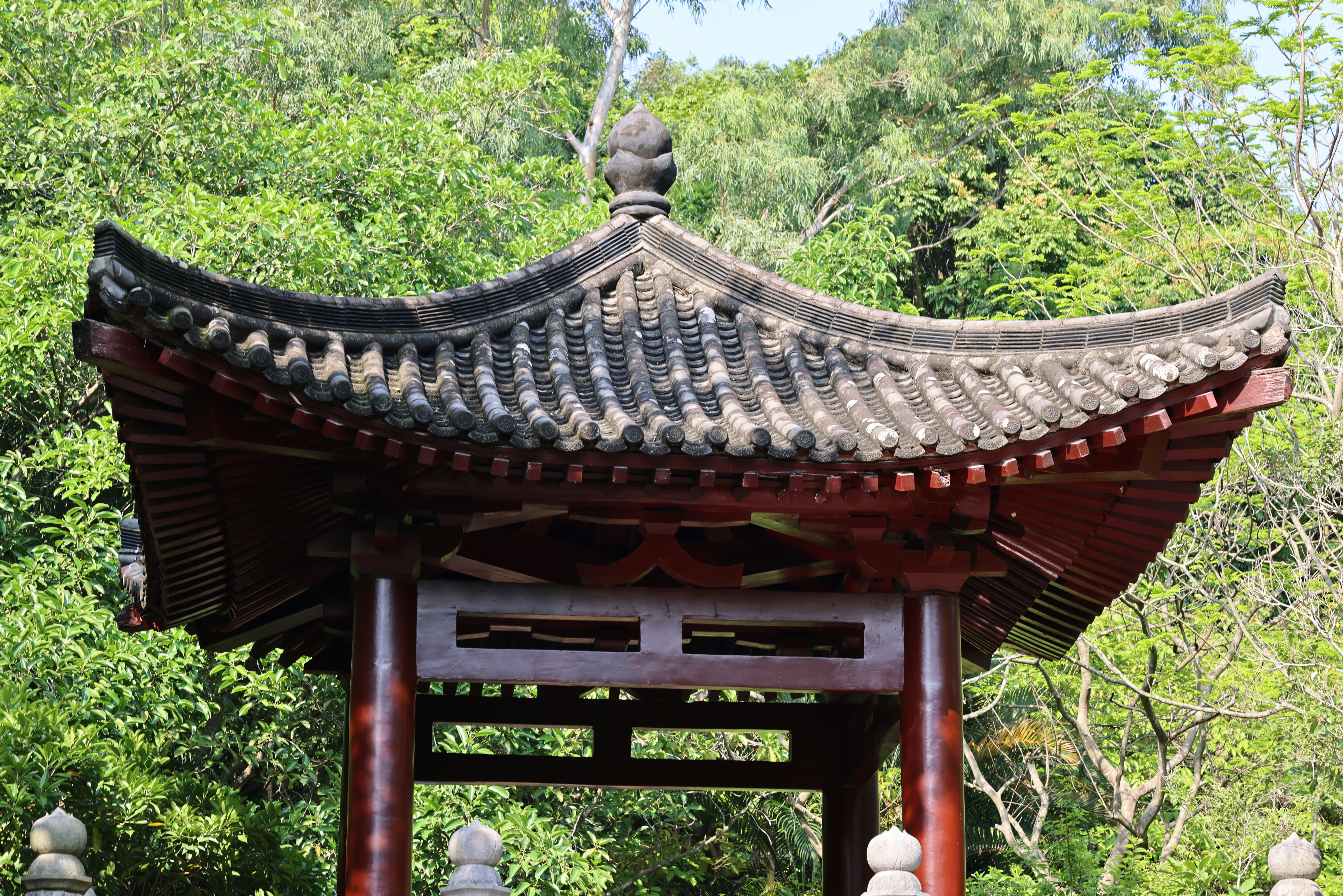 Photo by dickenslin76