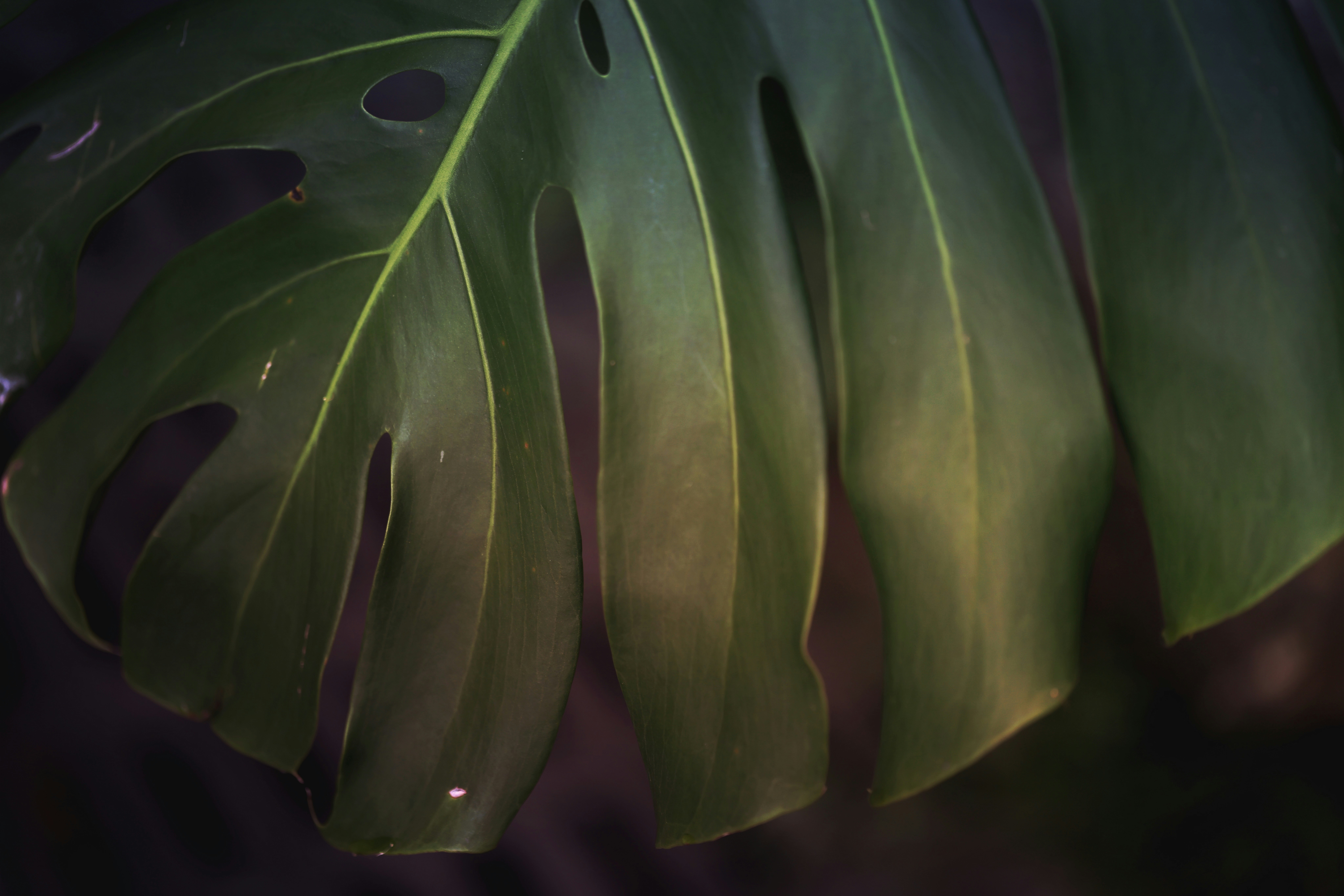 Photo by dickenslin76