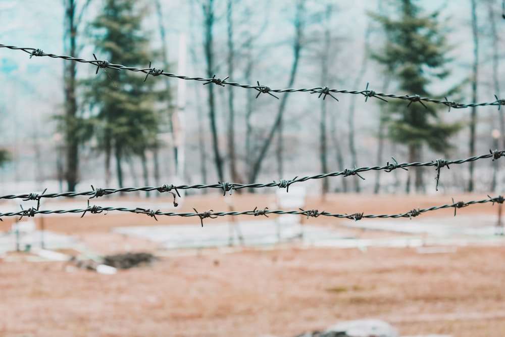 a fence with a wire fence