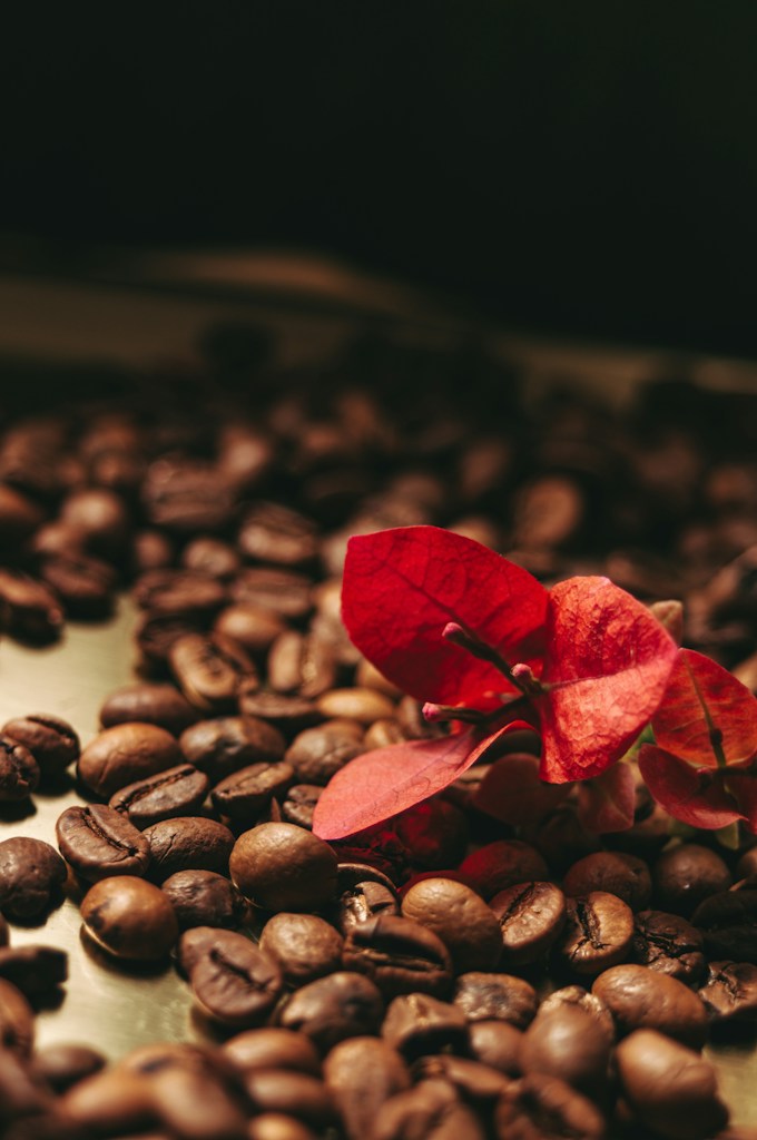 Yirgacheffe Floral