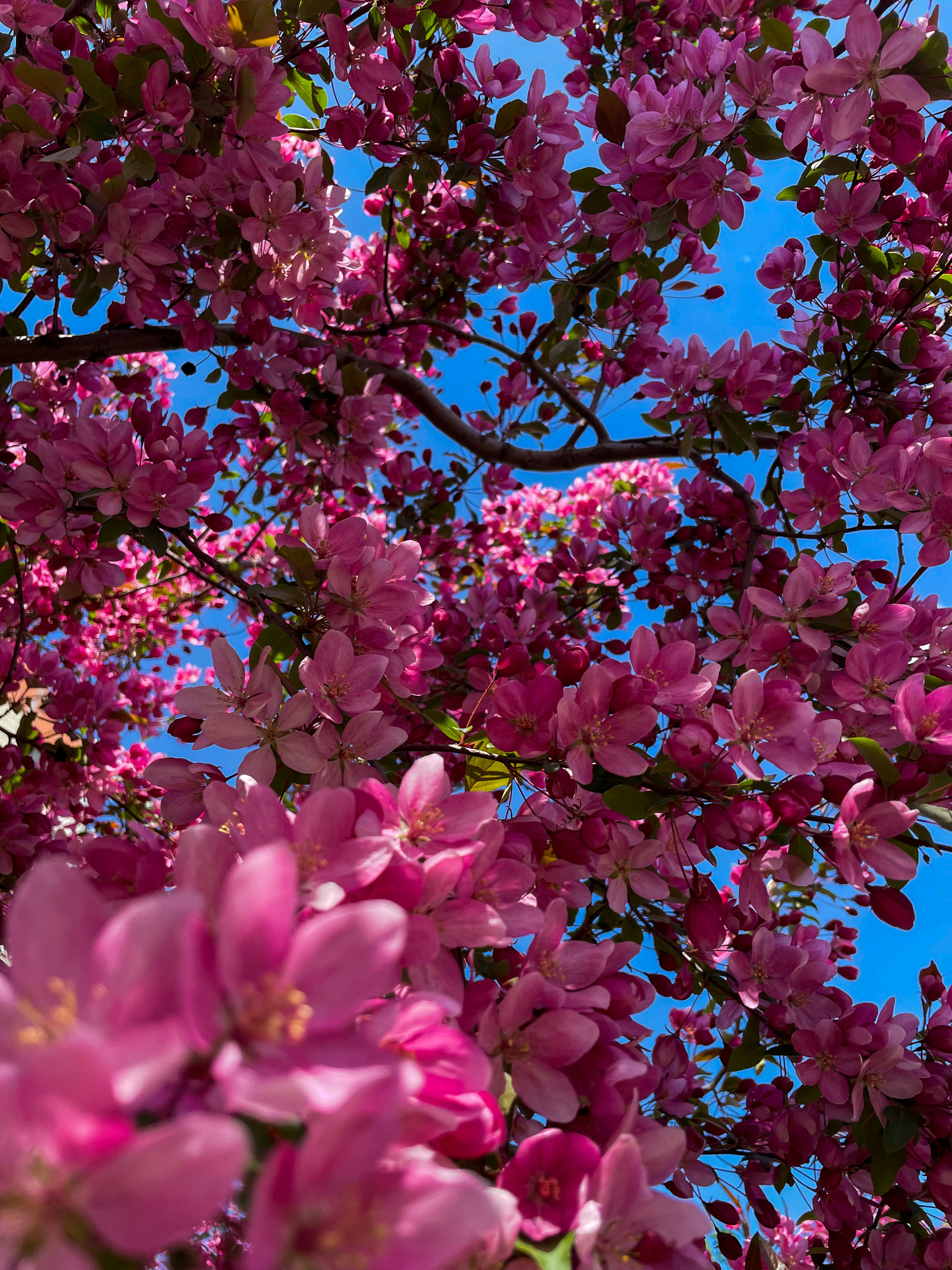 Photo by __blonde007