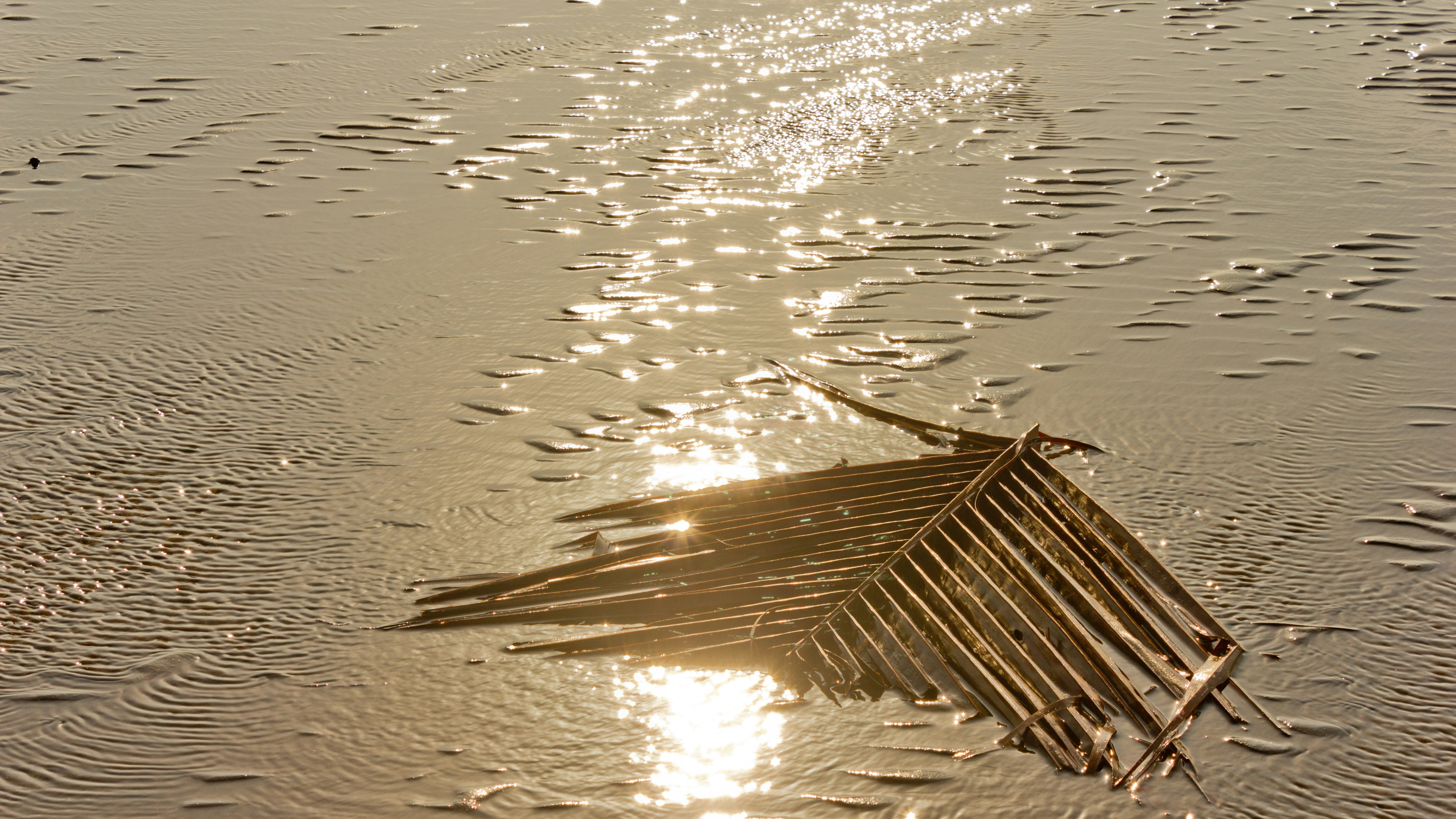 a wooden dock in the water