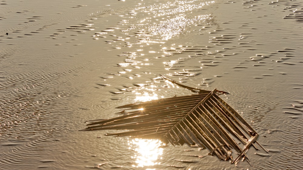 a wooden dock in the water