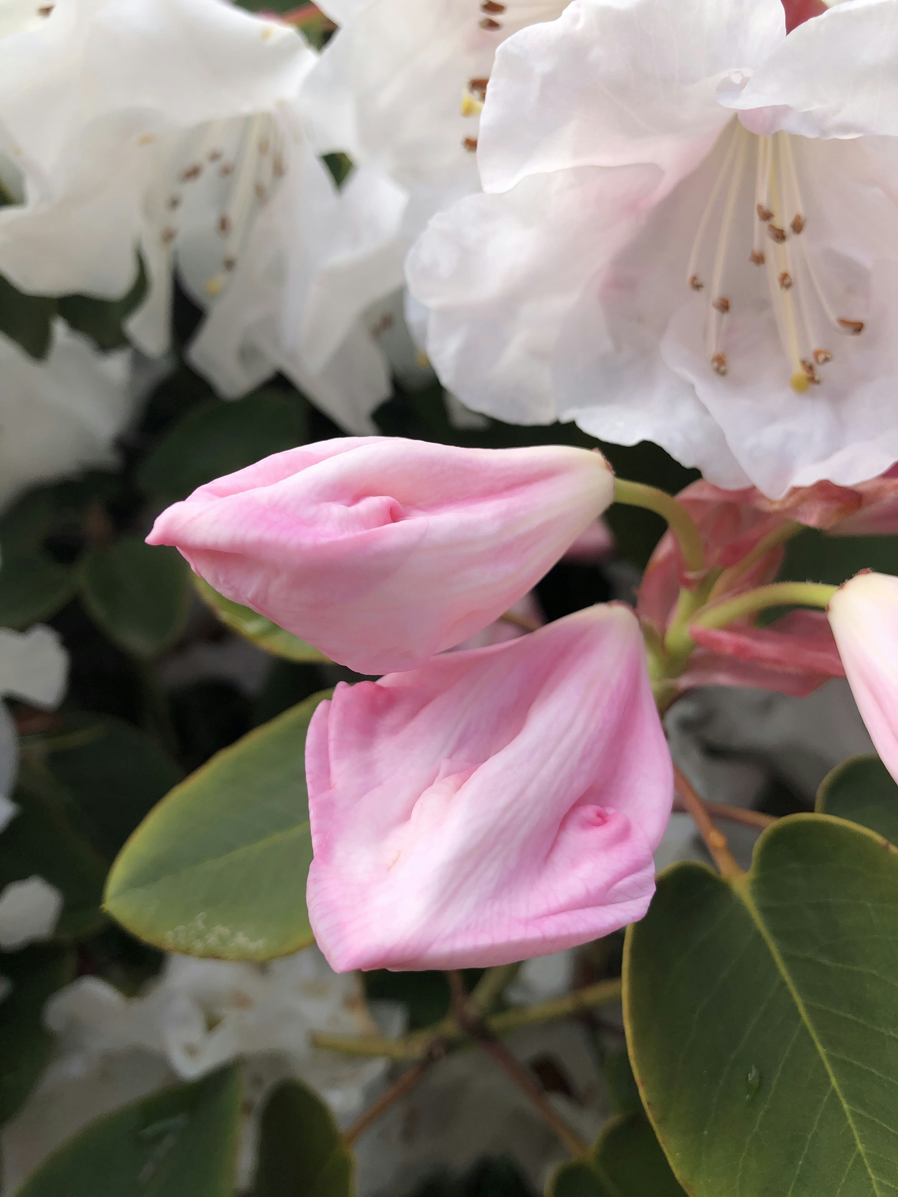 Photo by liberatetheimage