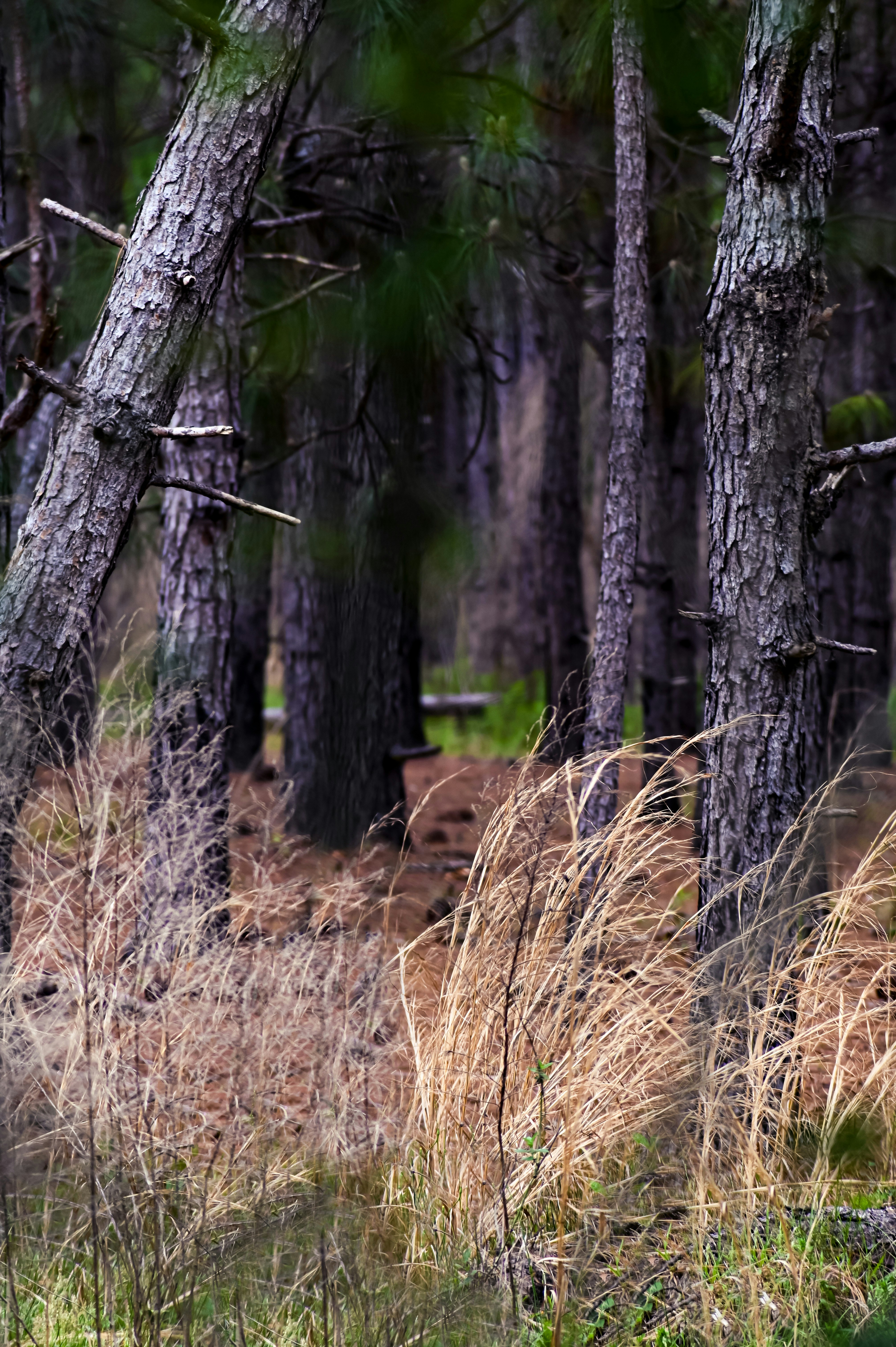 Photo by jaimeeshaye