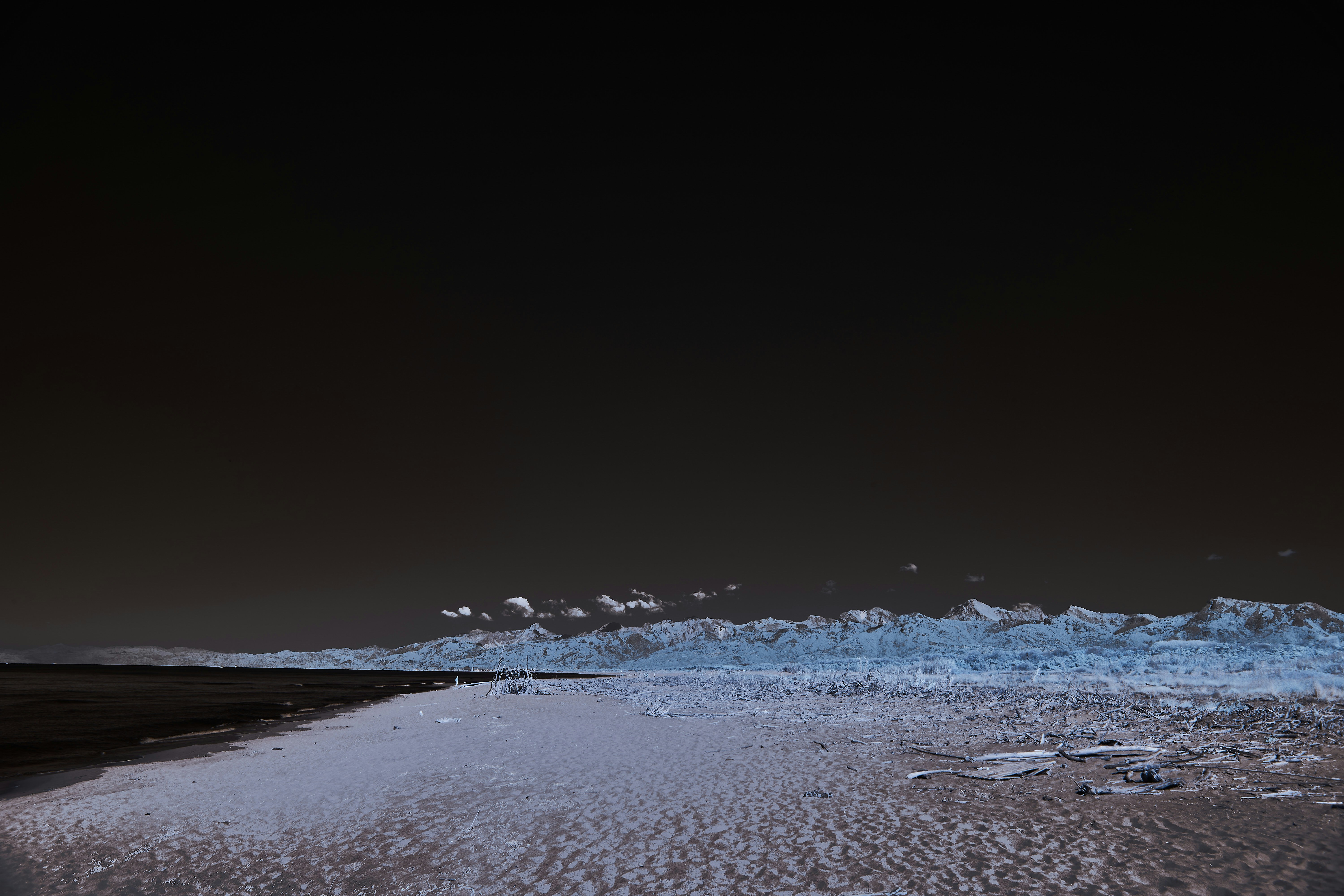 Photo by wolfgang_hasselmann