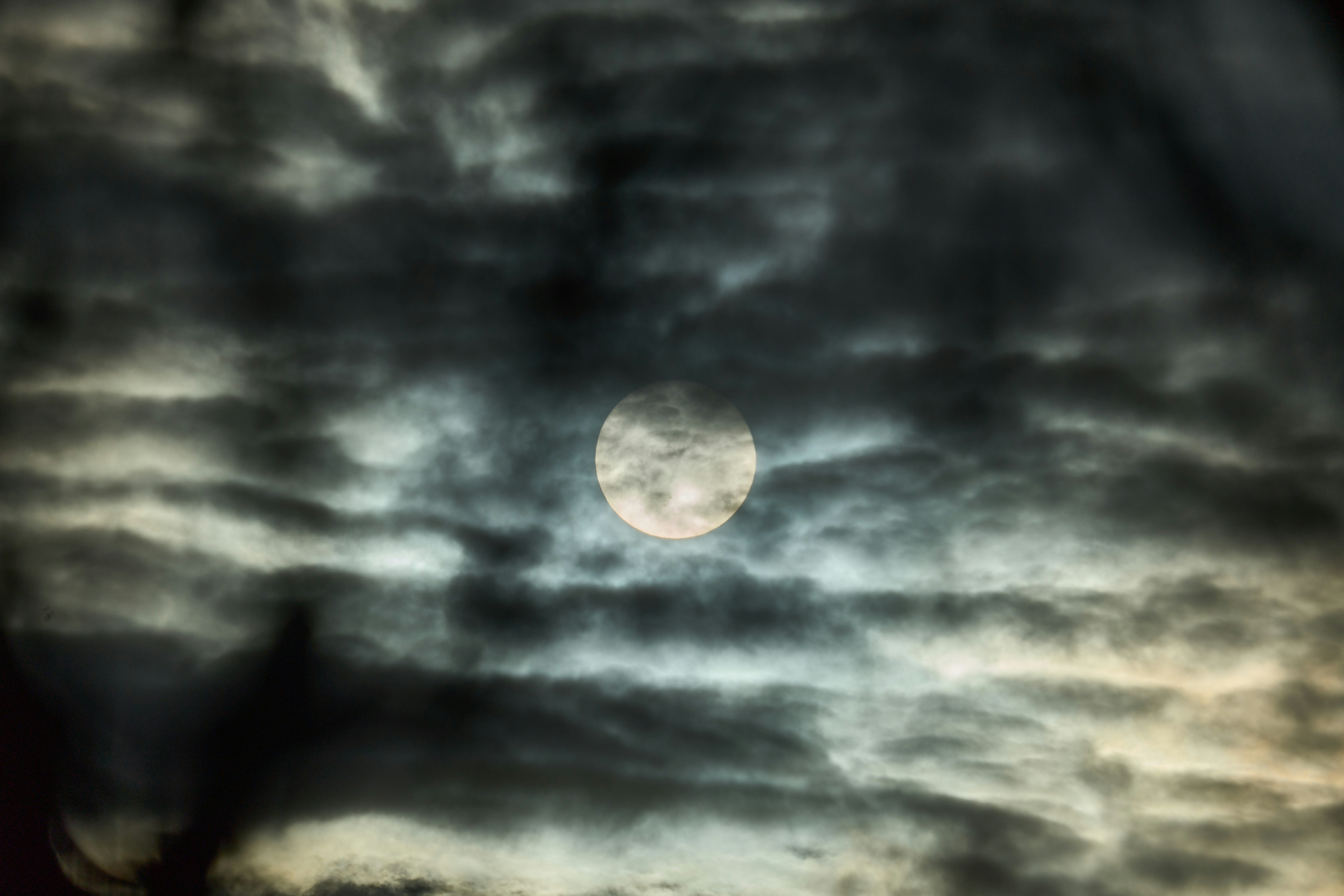 Photo by wolfgang_hasselmann