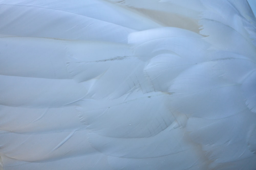 a large group of icebergs