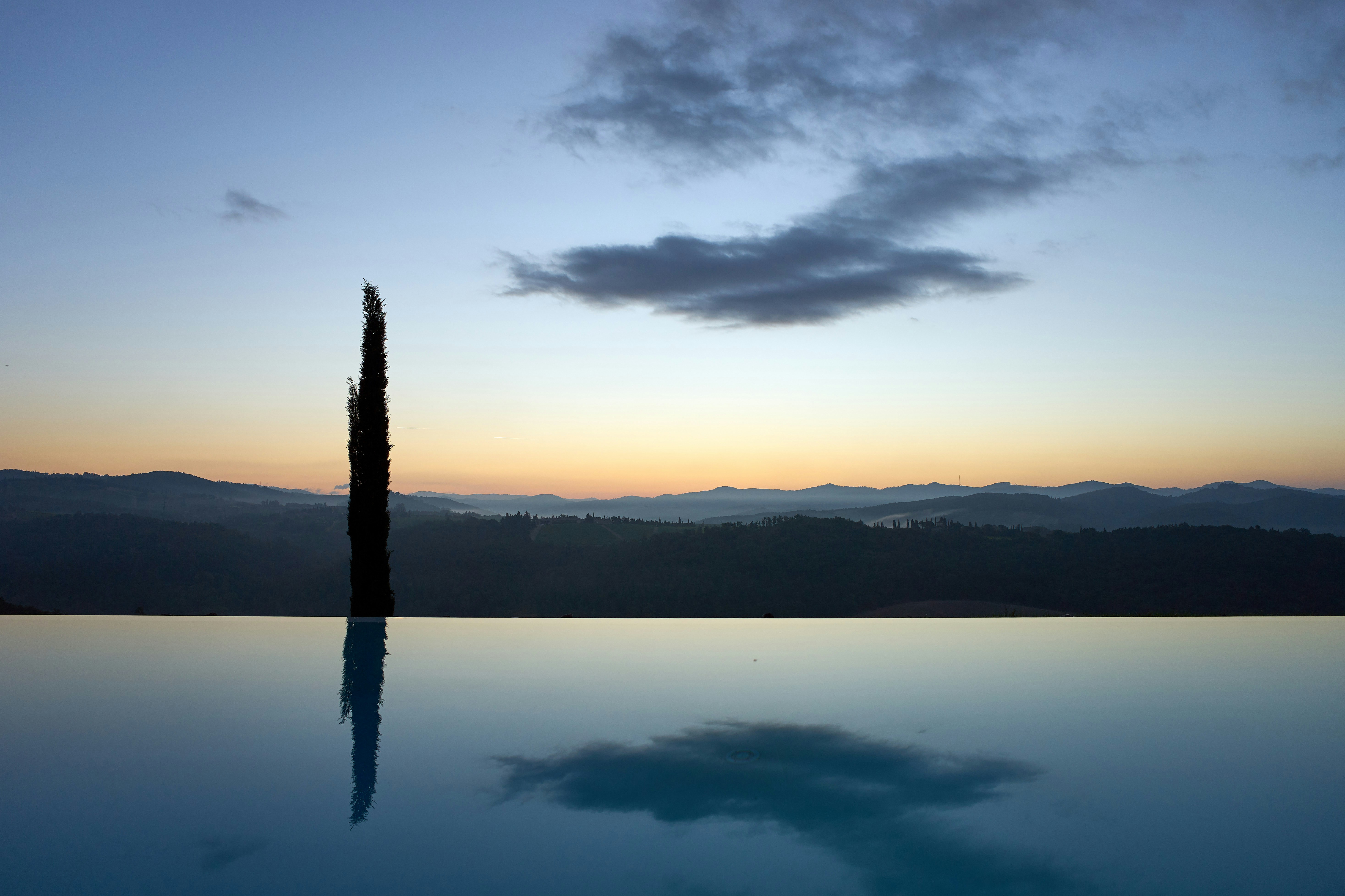 Photo by wolfgang_hasselmann