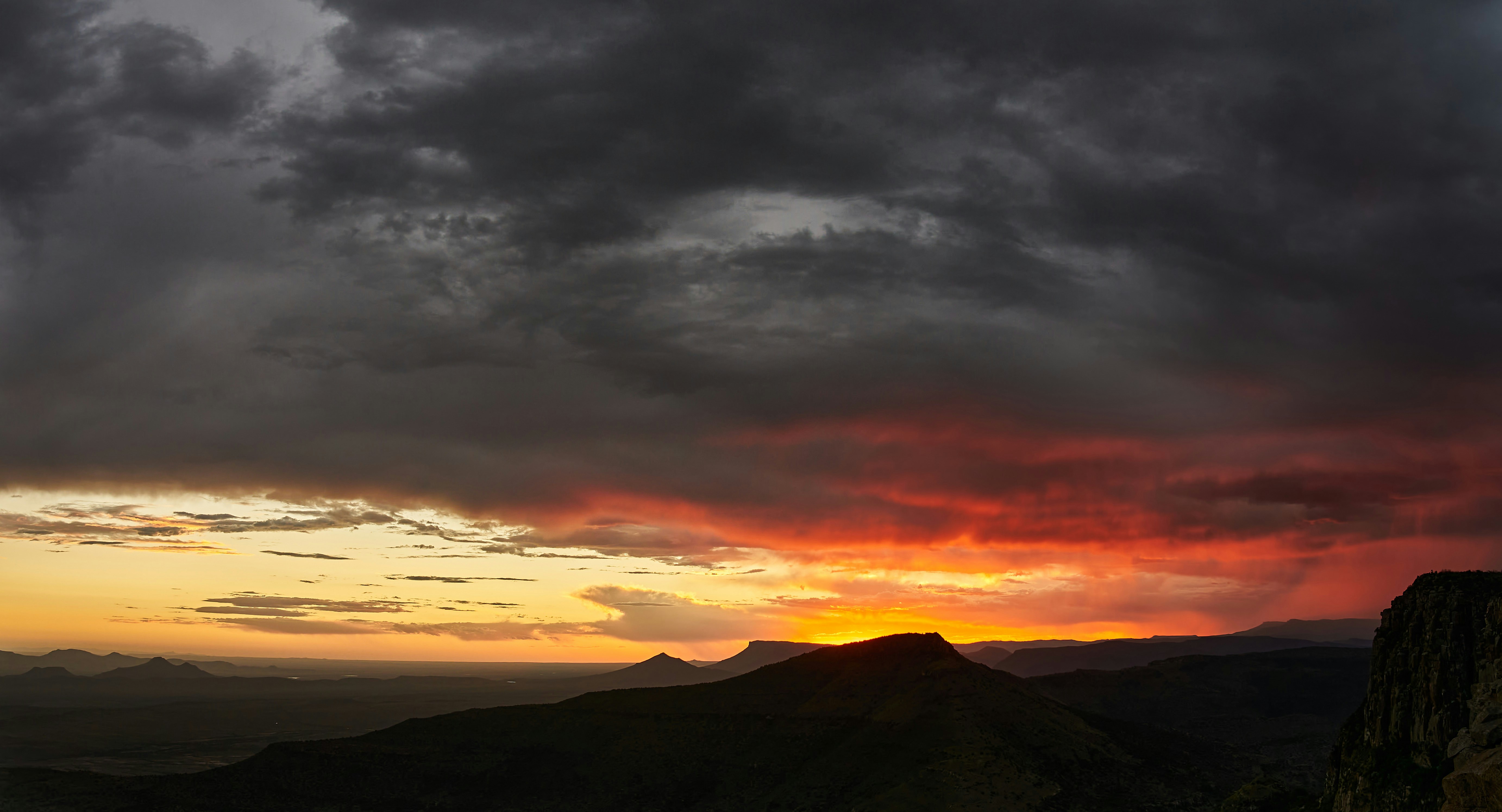 Photo by wolfgang_hasselmann