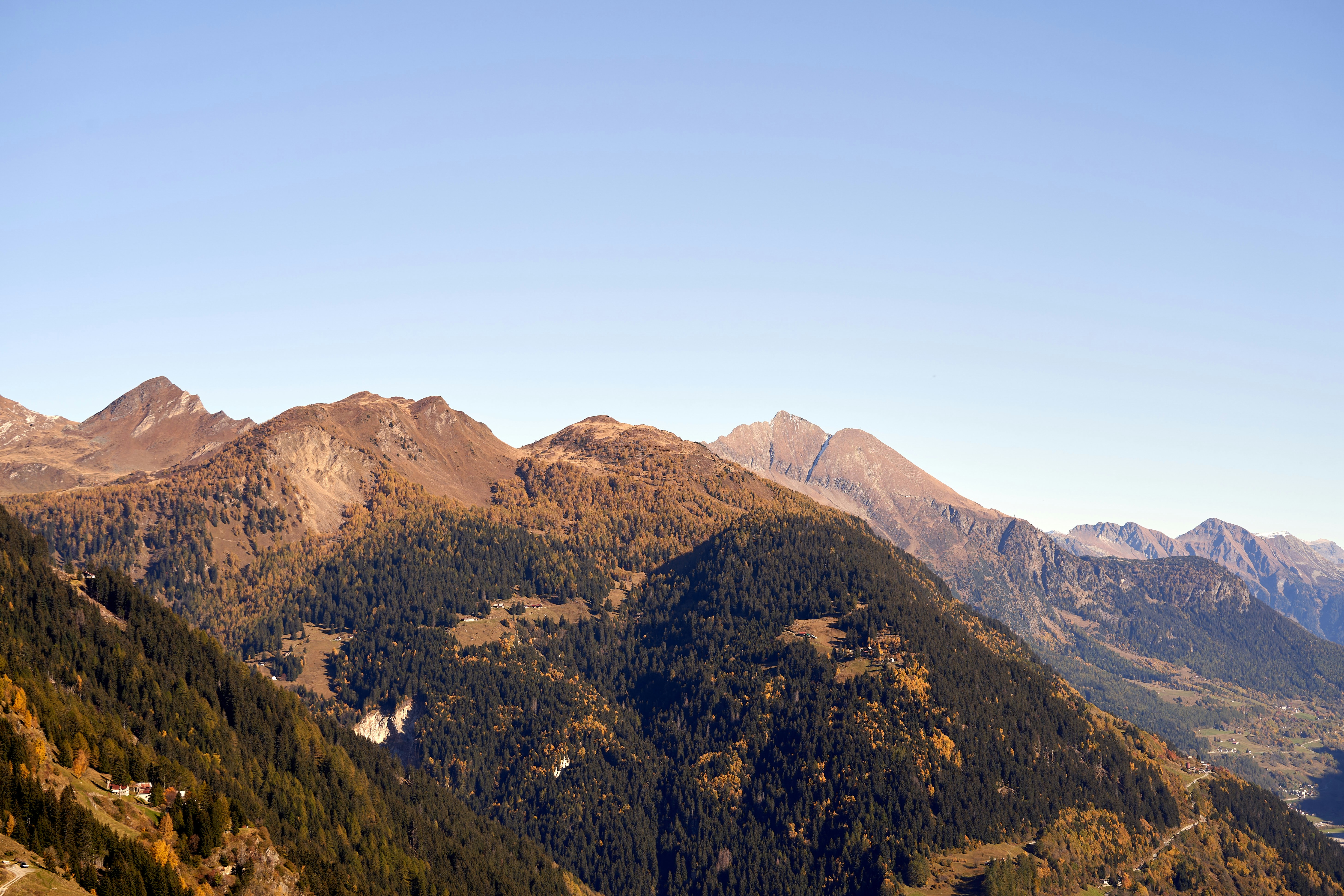 Photo by wolfgang_hasselmann