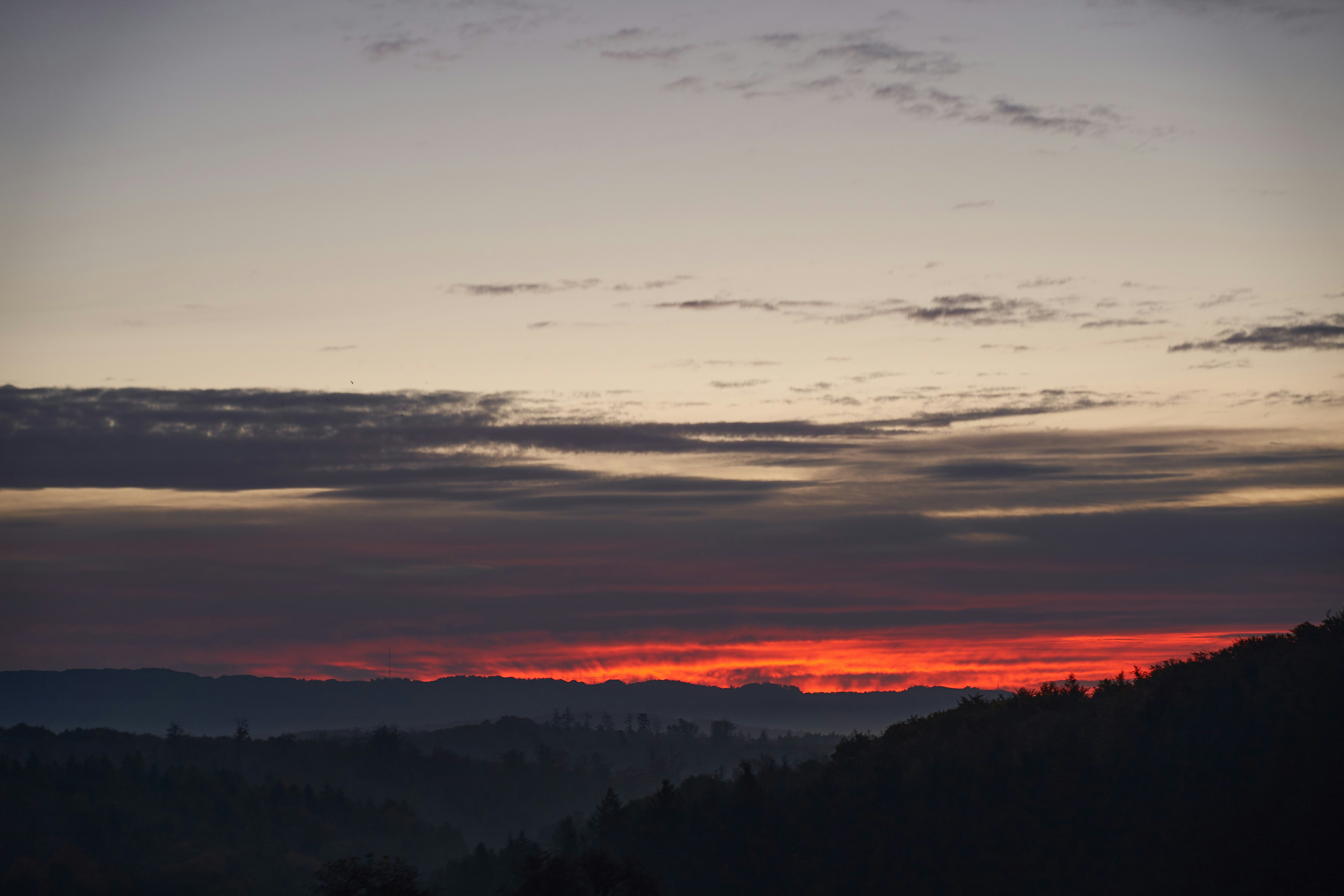 Photo by wolfgang_hasselmann