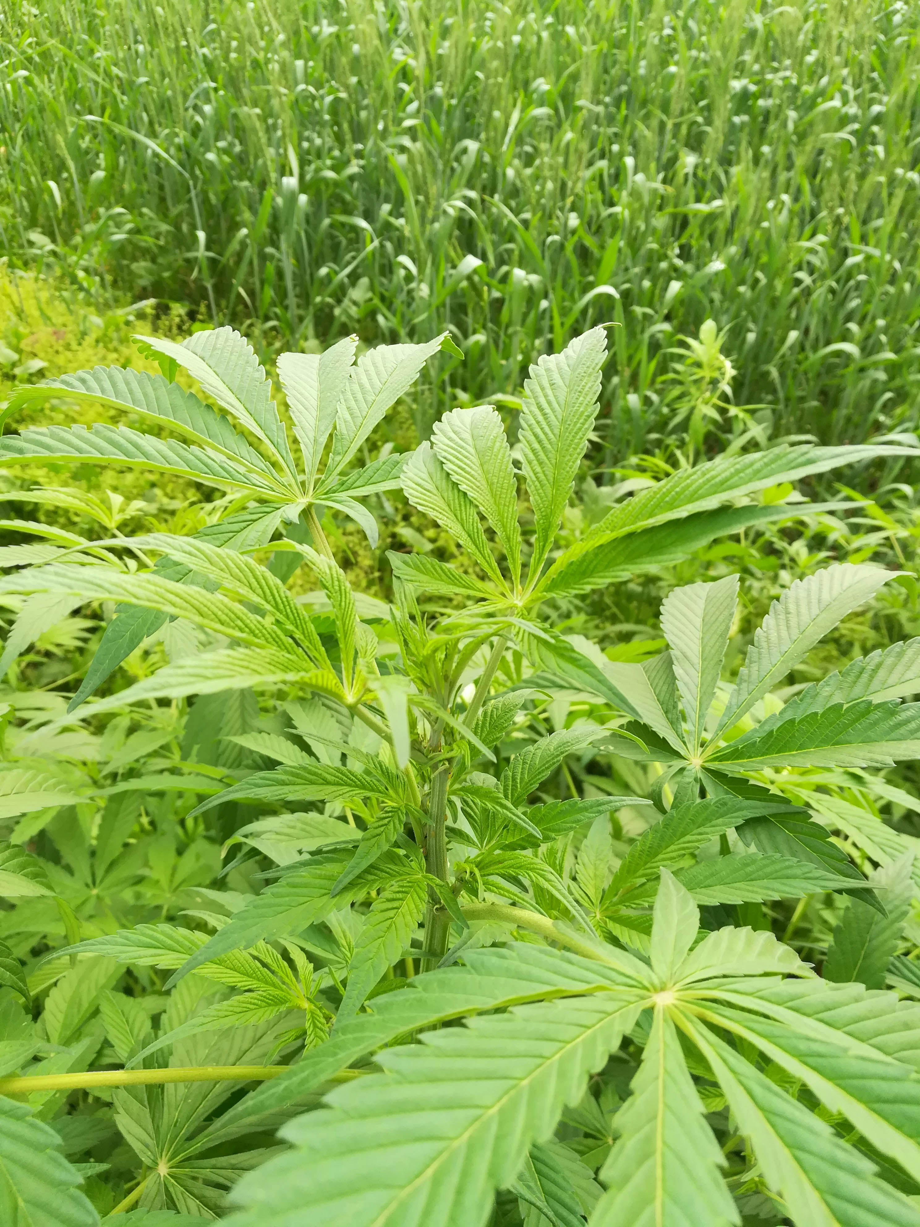 Photo by naturebyneha