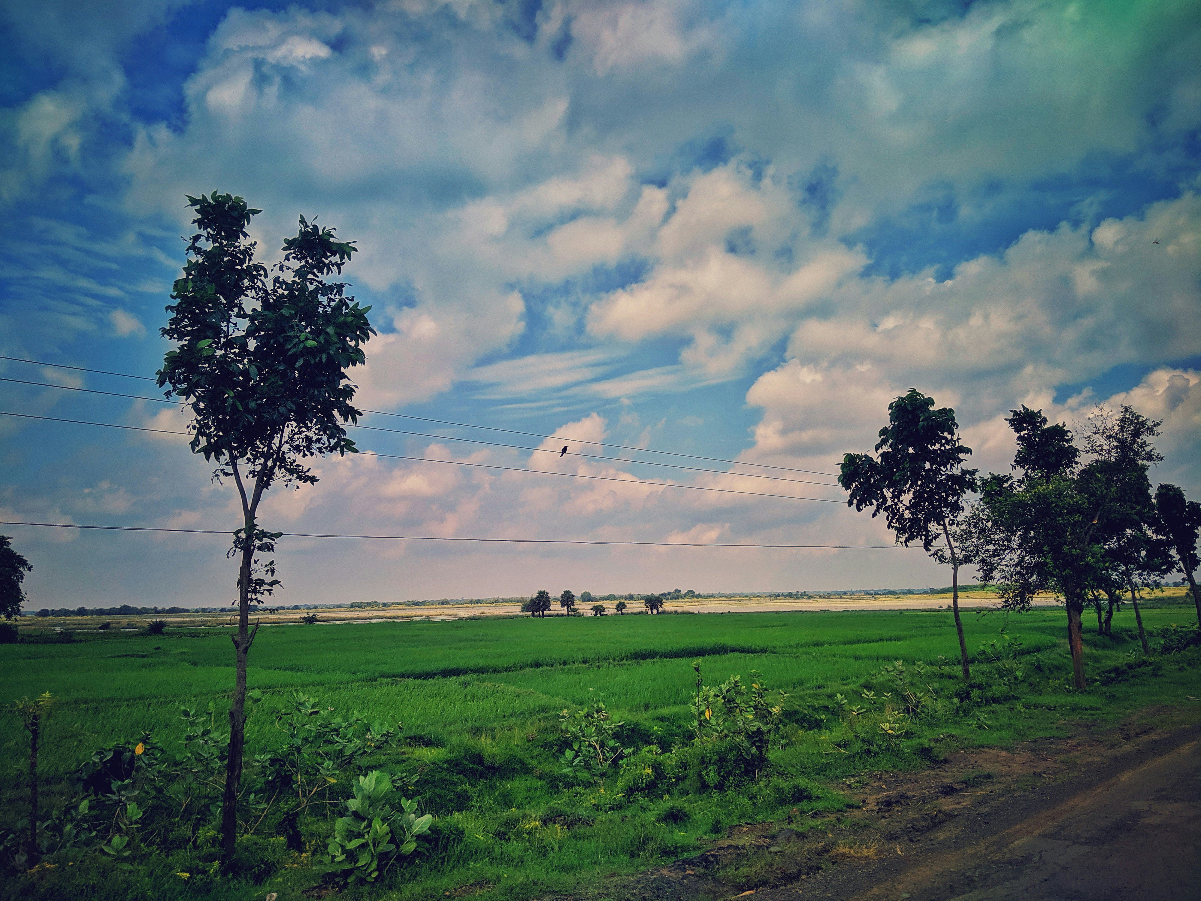 Photo by neeloriginals