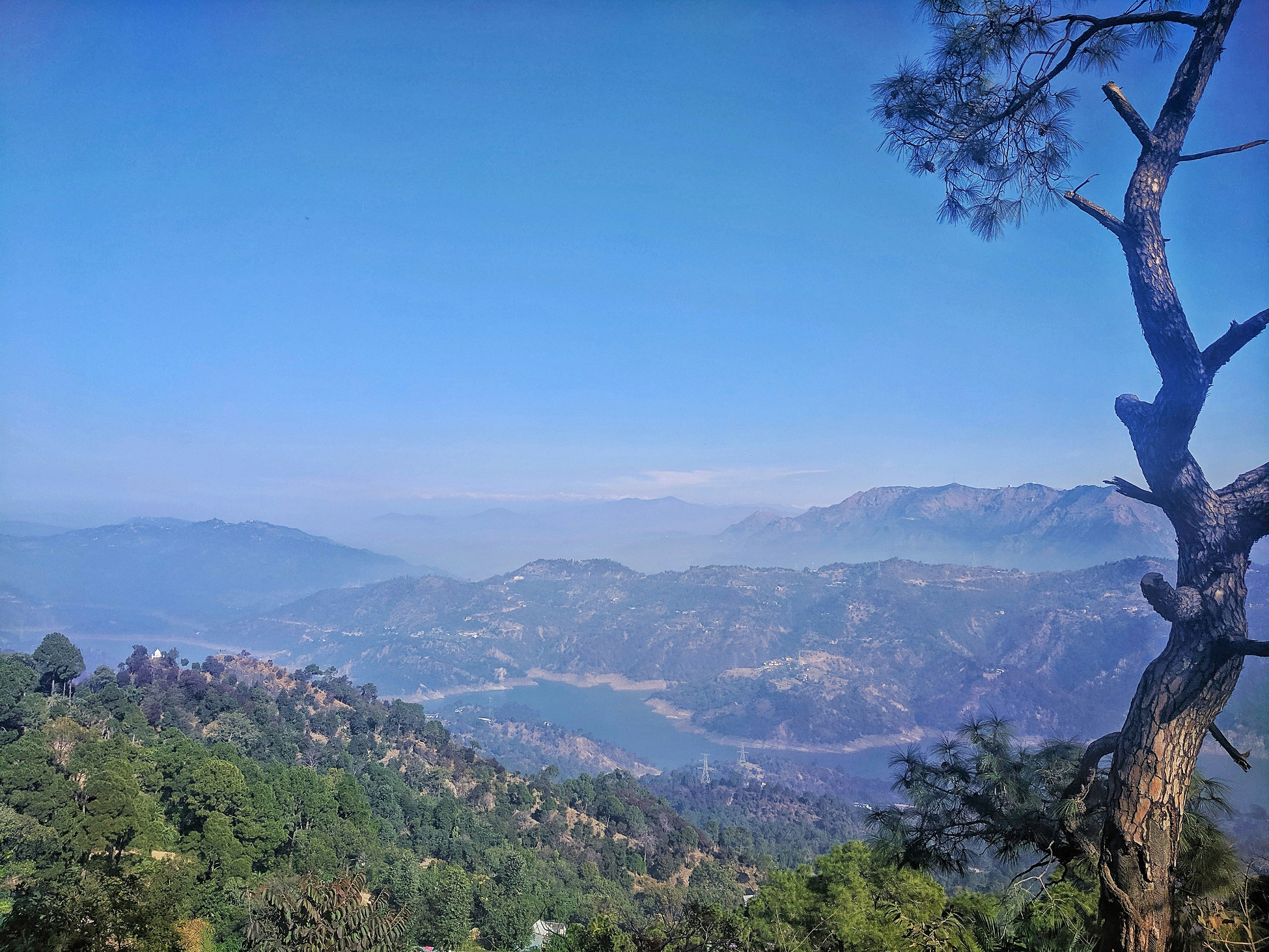 Photo by neeloriginals