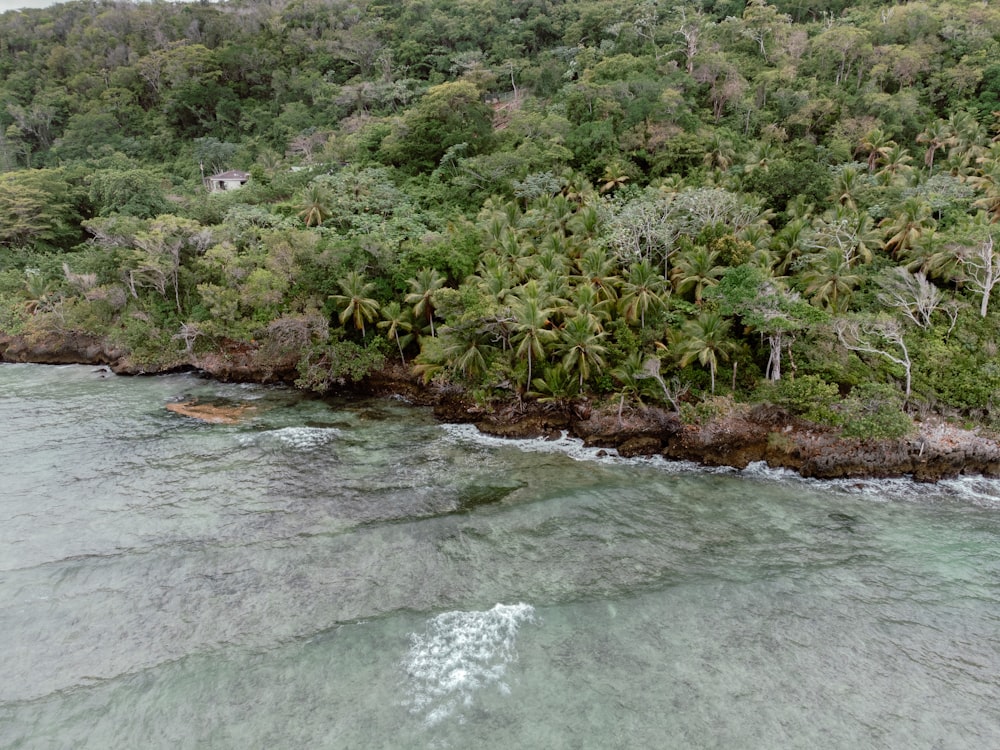 a small island with trees