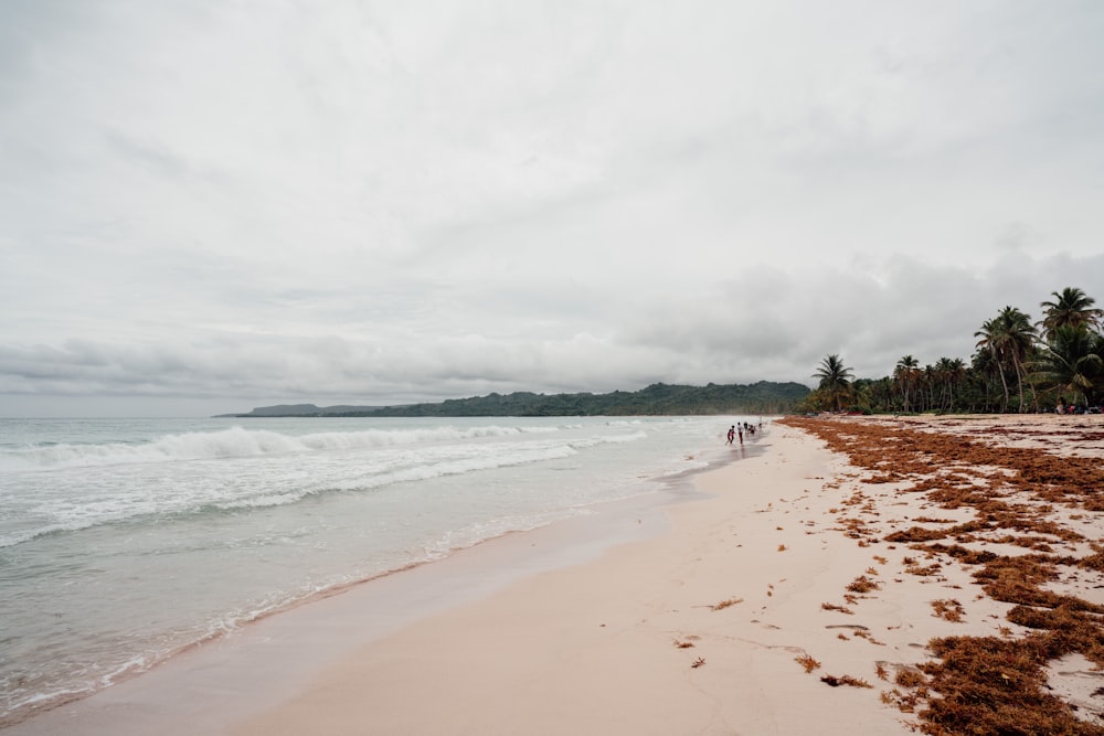 a beach with people walking on it