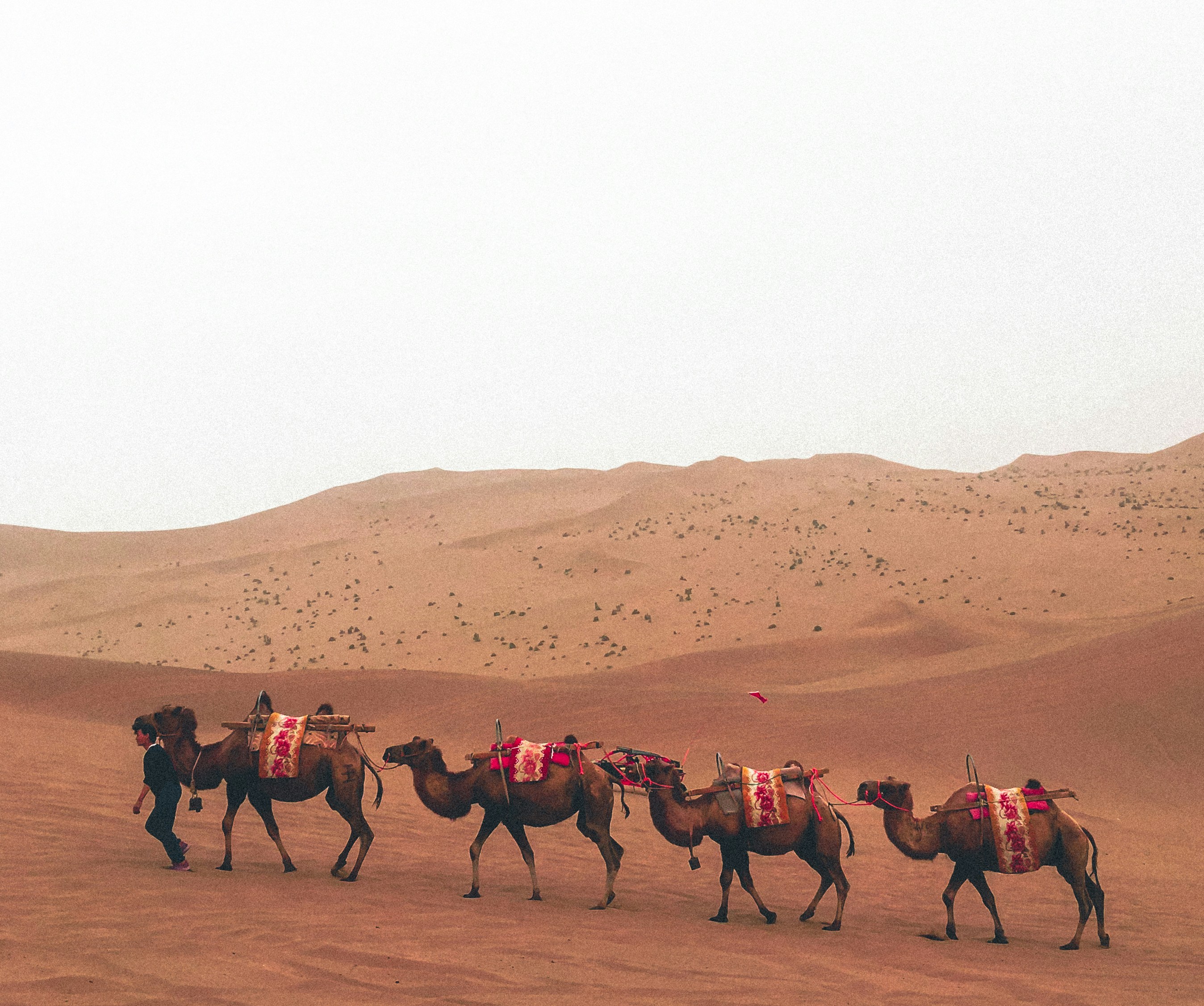 Photo by jl_darren25