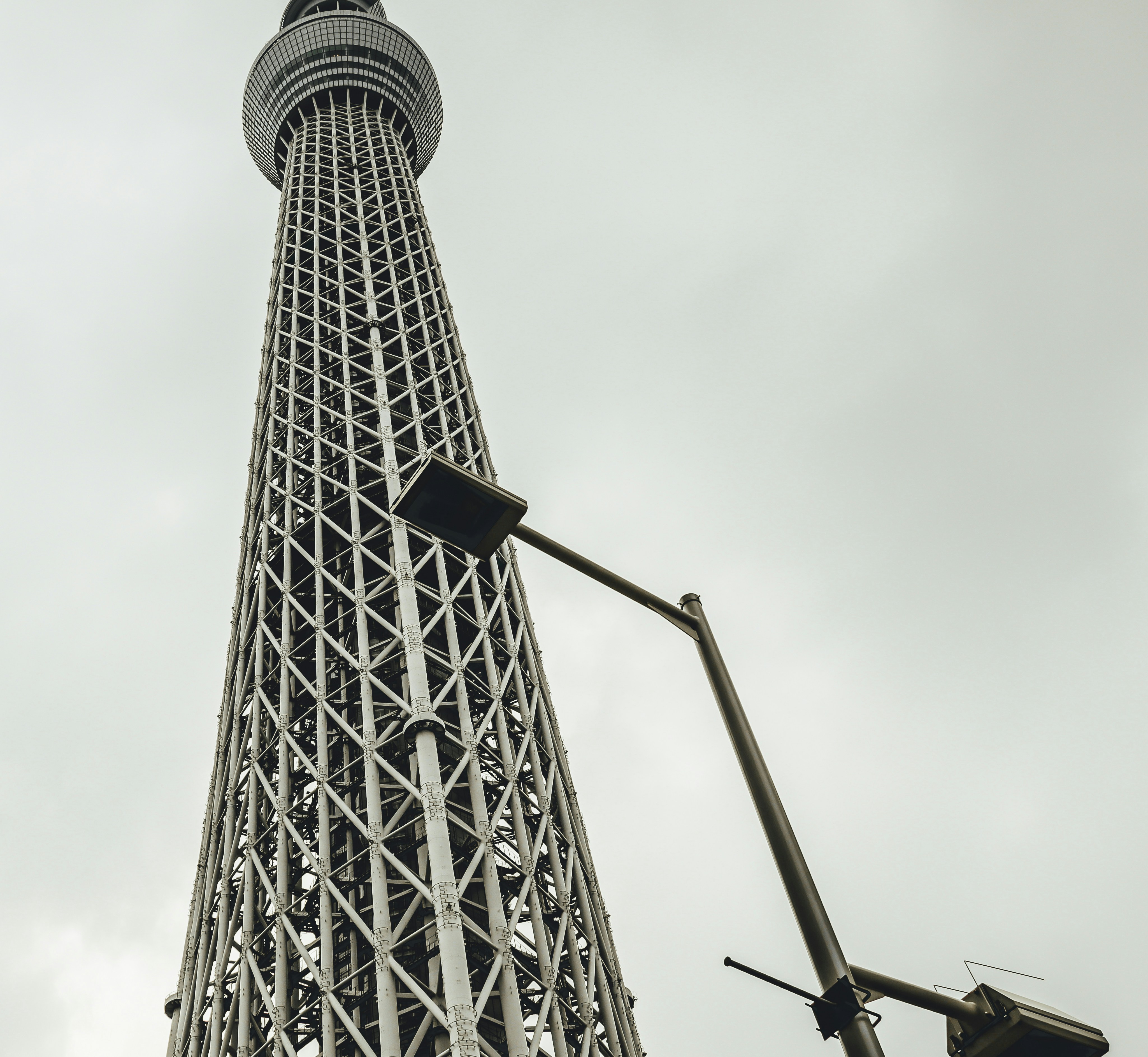 Photo by jl_darren25