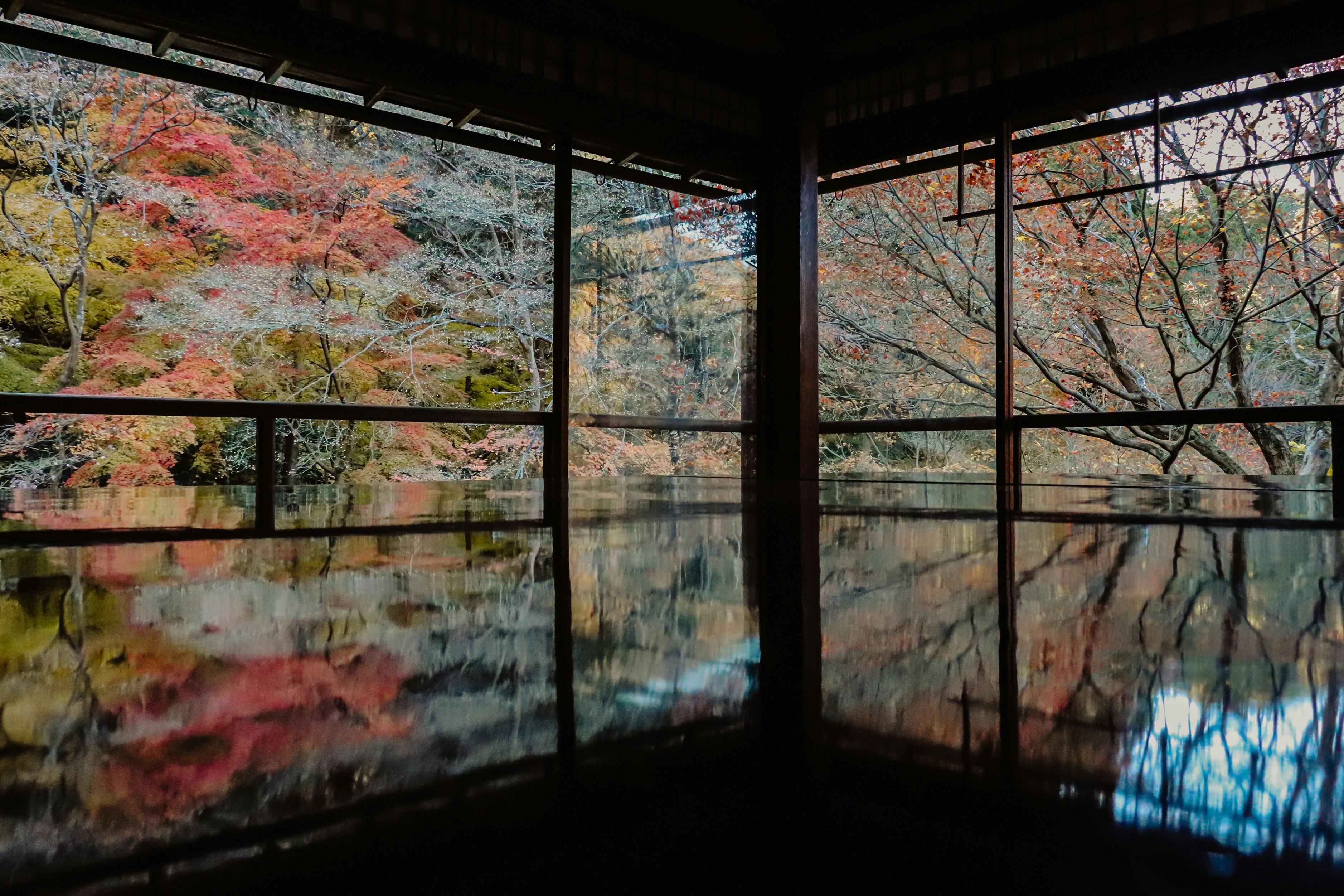 Photo by jl_darren25