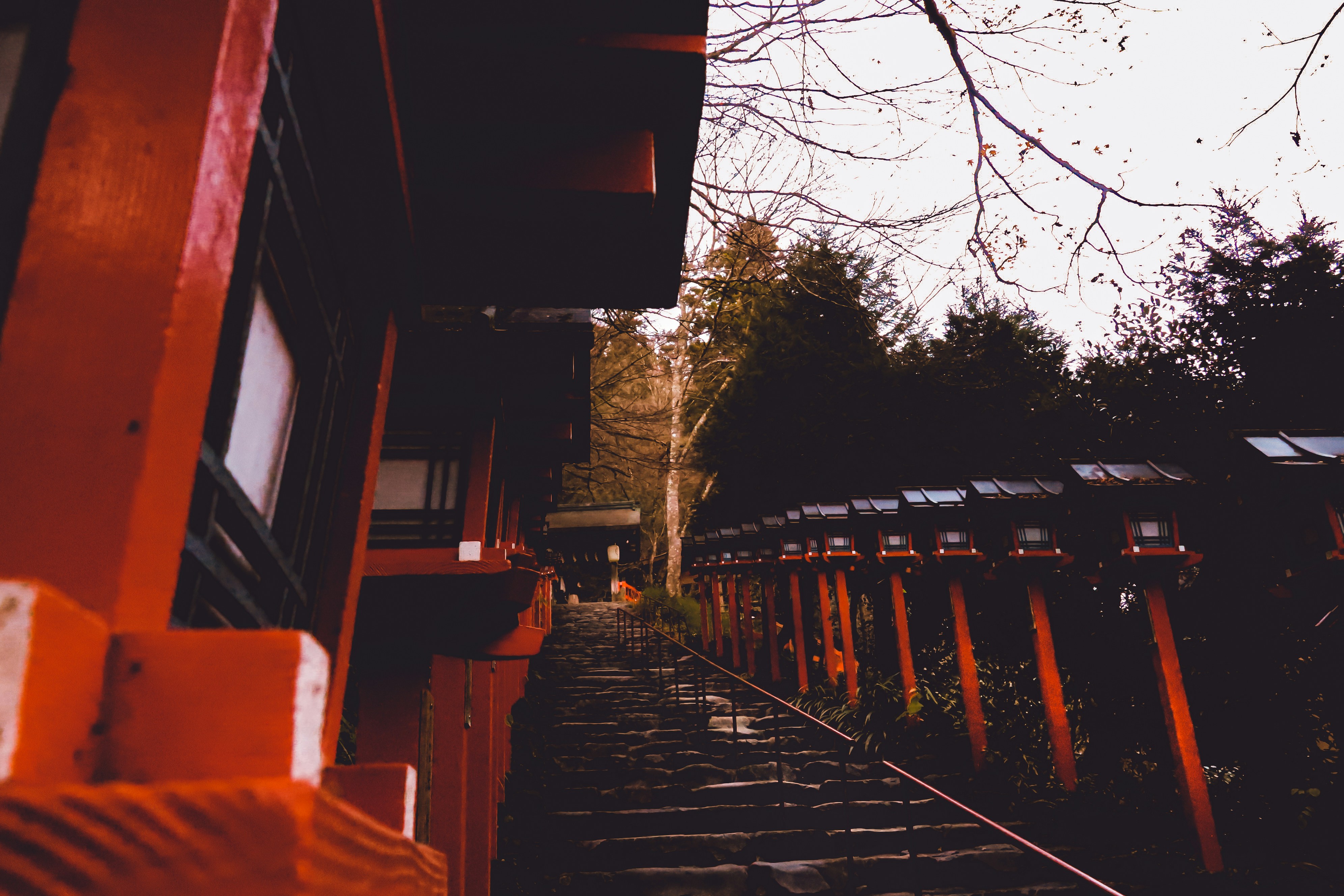 Photo by jl_darren25