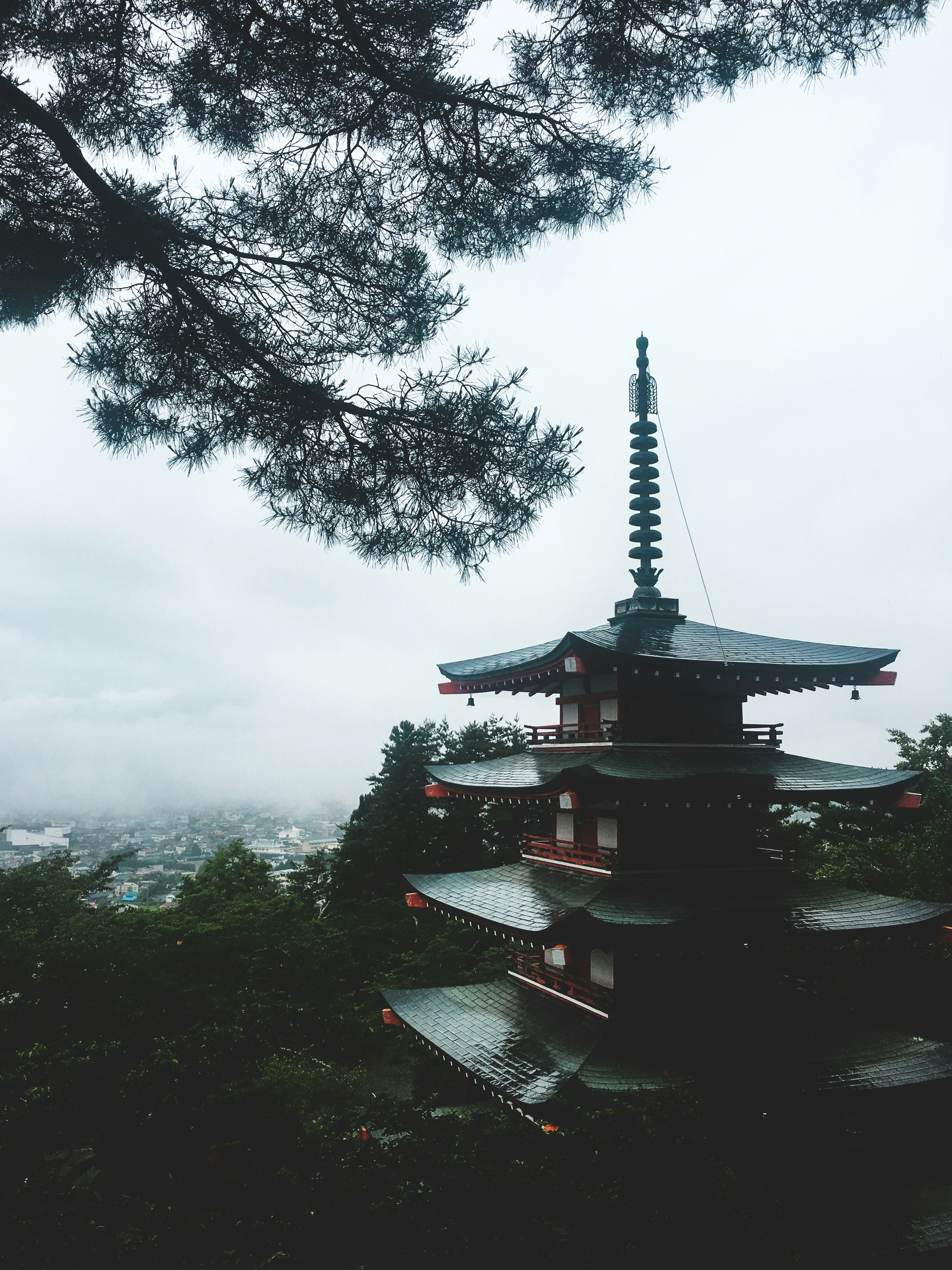 Photo by jl_darren25