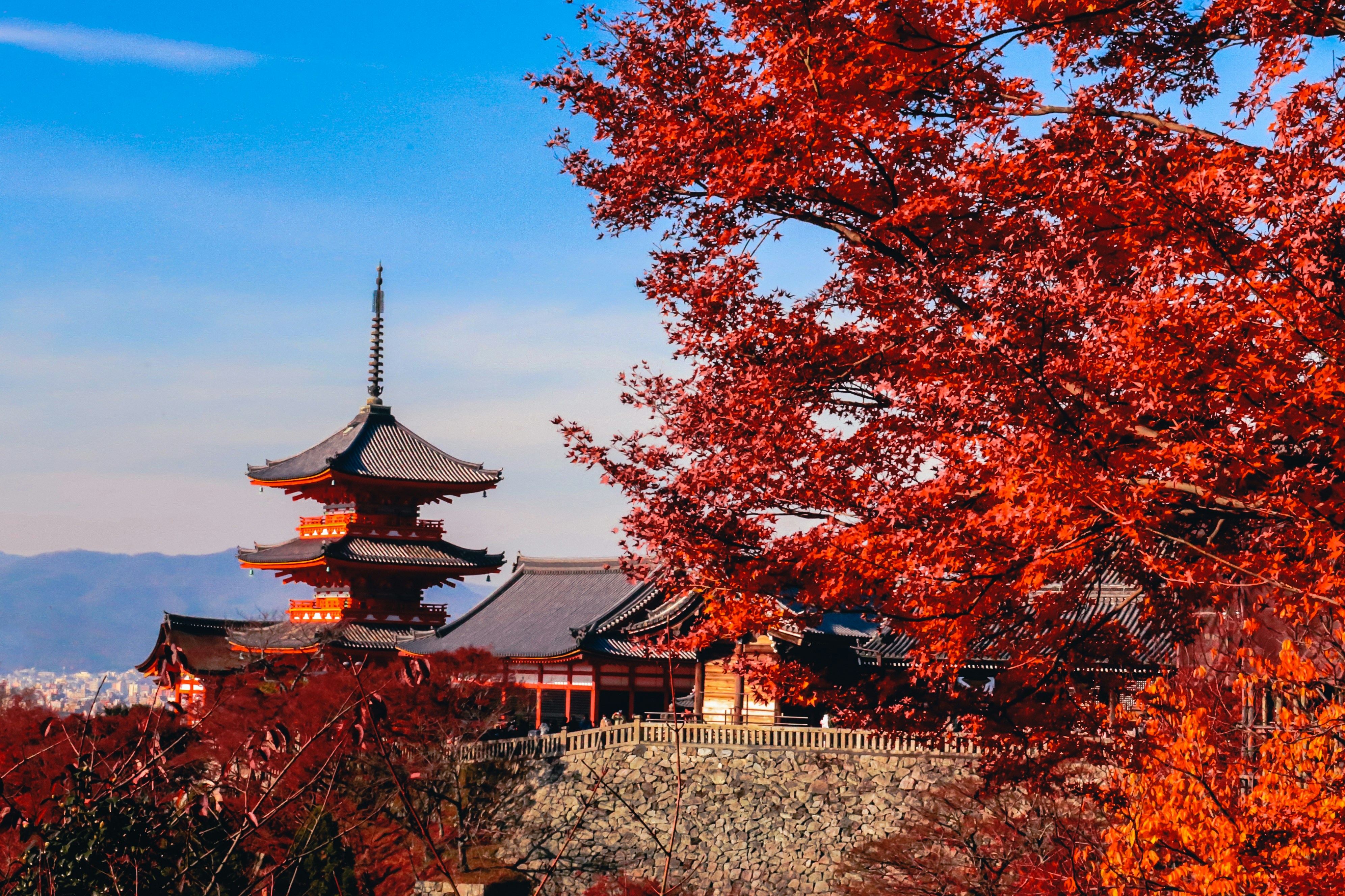 Kiyomizu-dera with a tower and trees around it