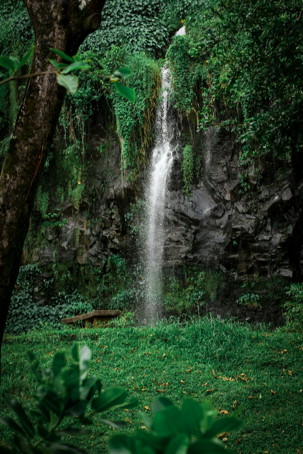 a waterfall in a forest