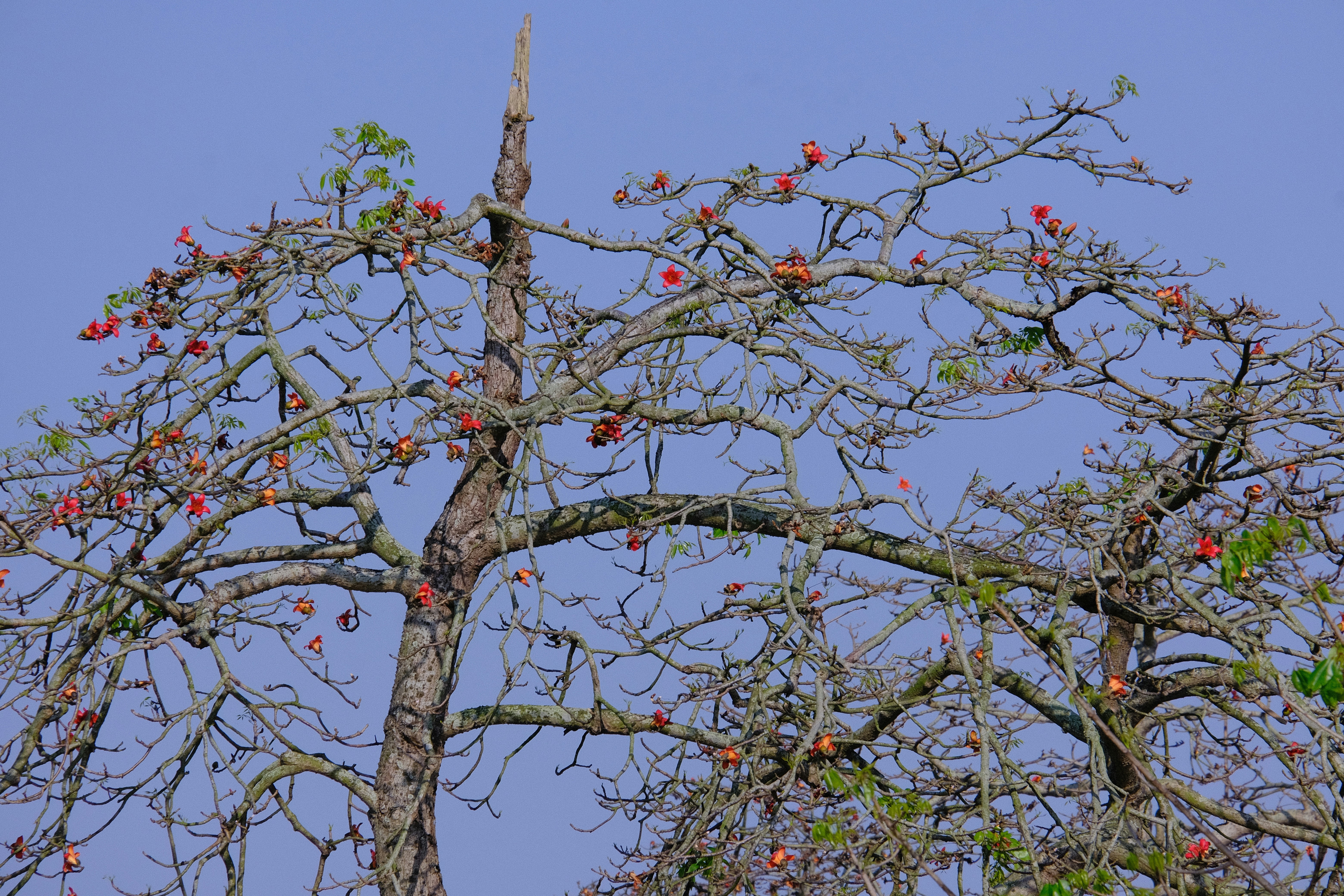 Photo by flying_oldman11