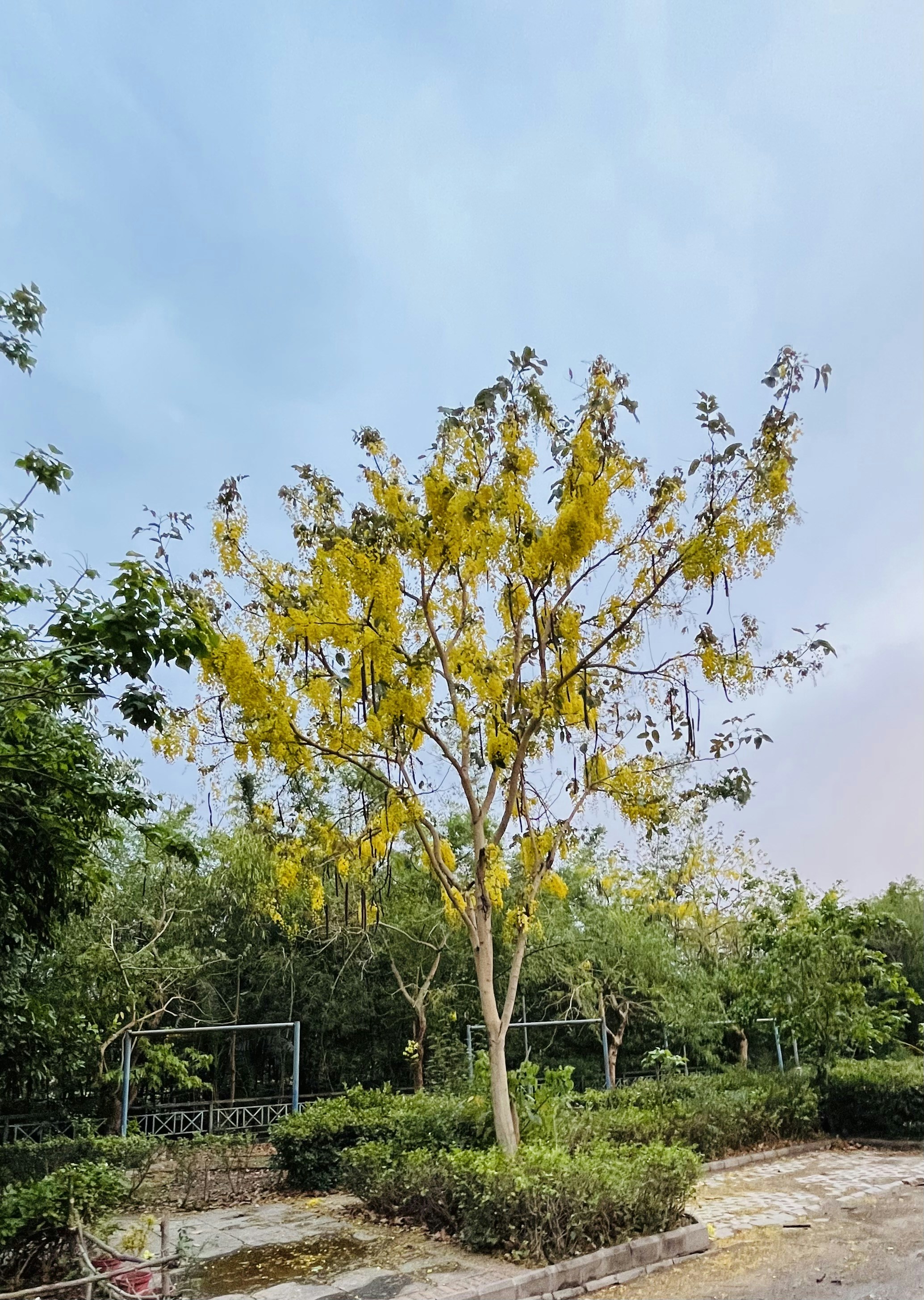 Photo by enduringbuddha