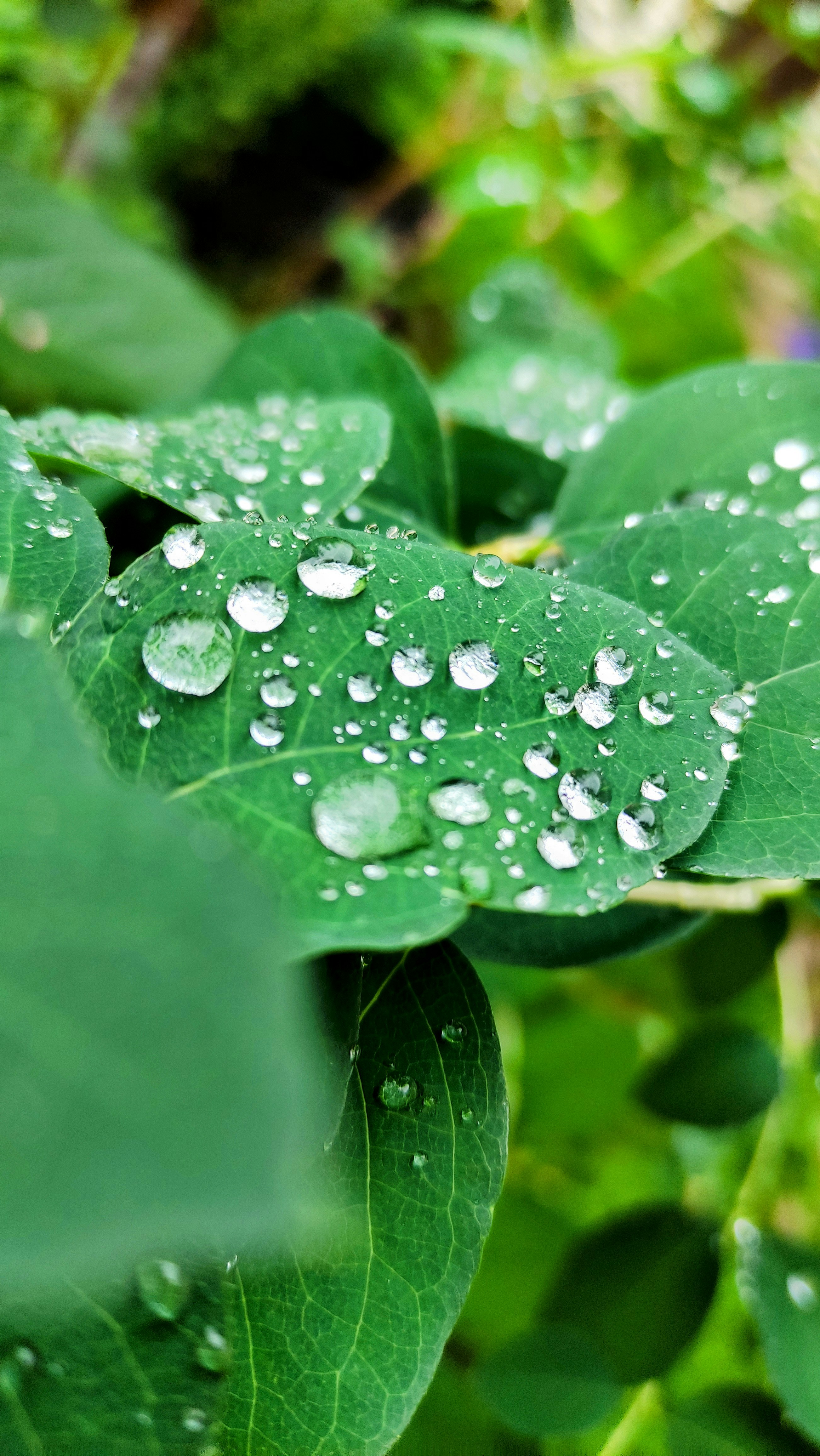 Photo by ds_graphicdesign