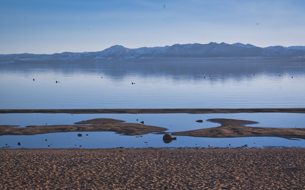 a body of water with birds flying around it