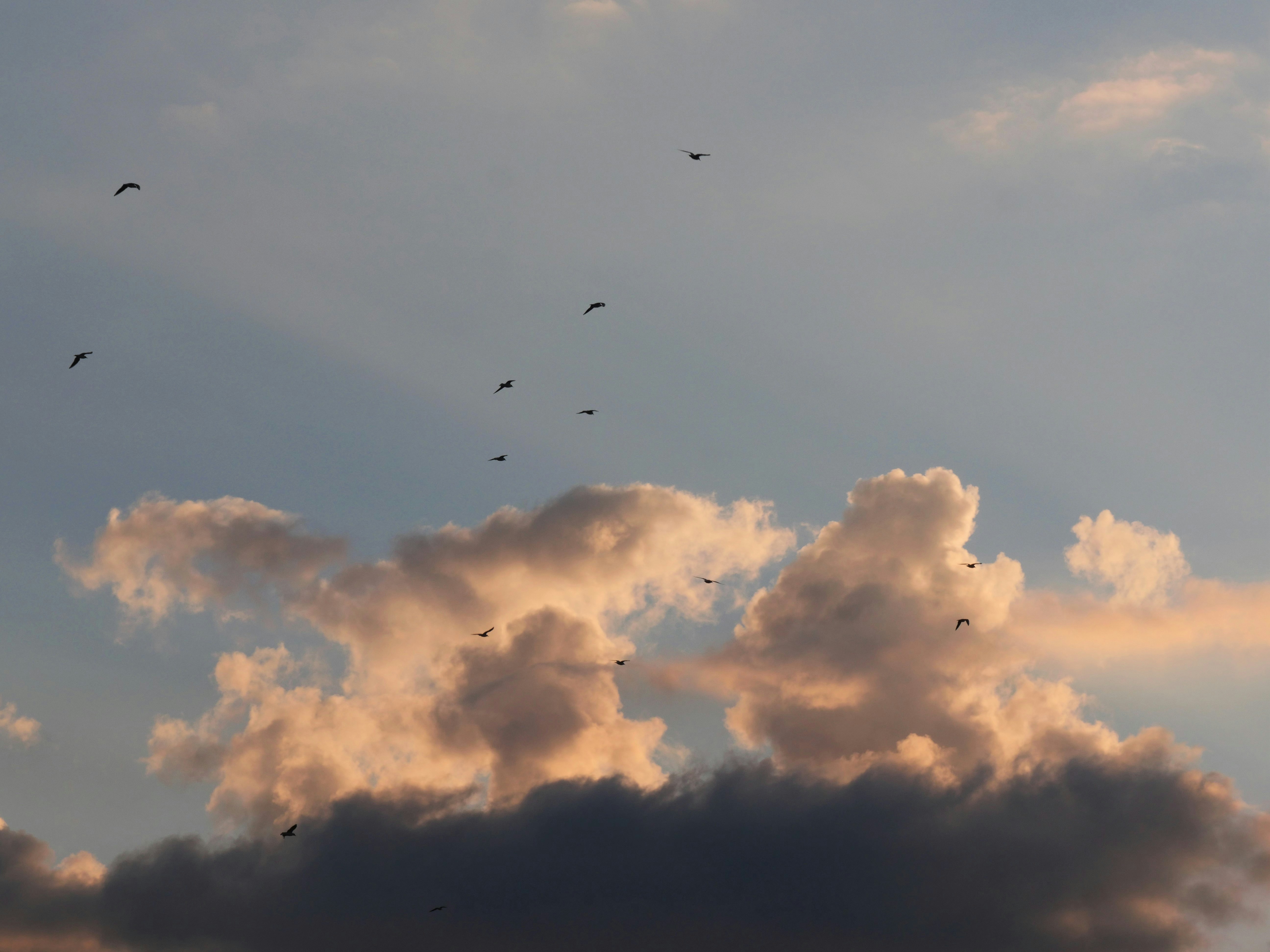 Photo by nimbus_vulpis