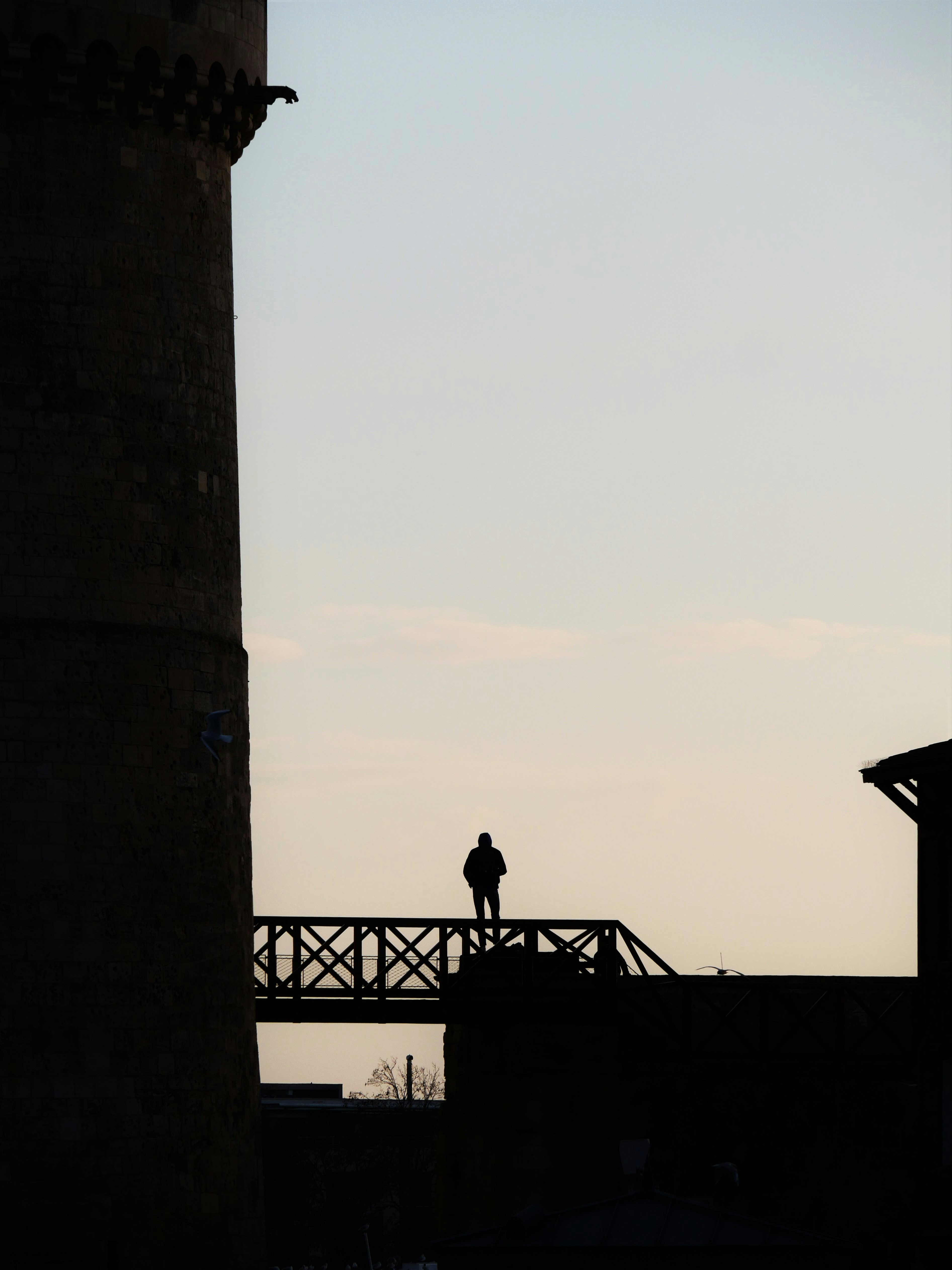 Man Backlight Pictures | Download Free Images on Unsplash