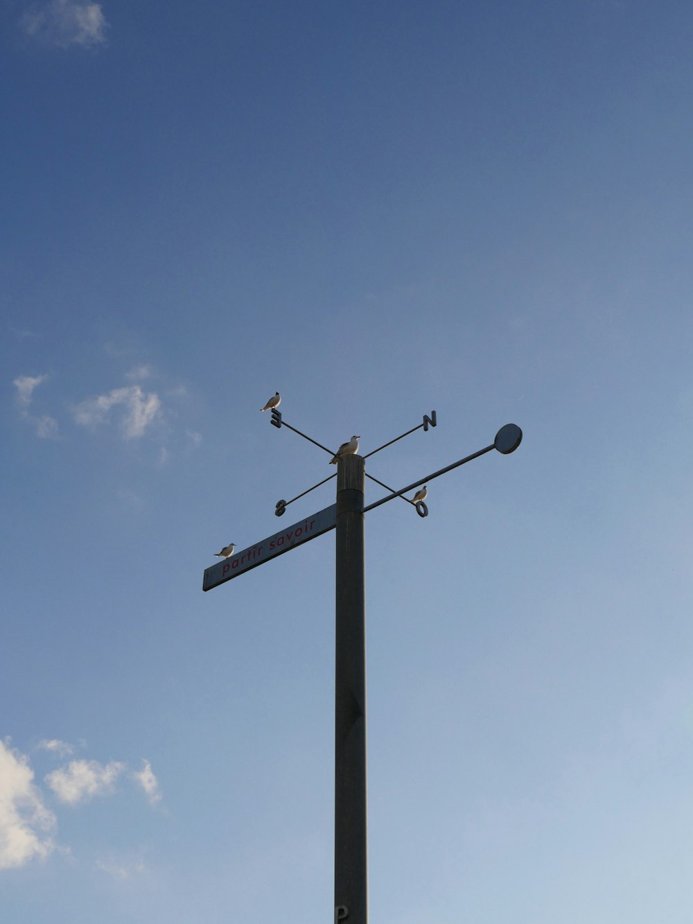 a street sign with a bird on top