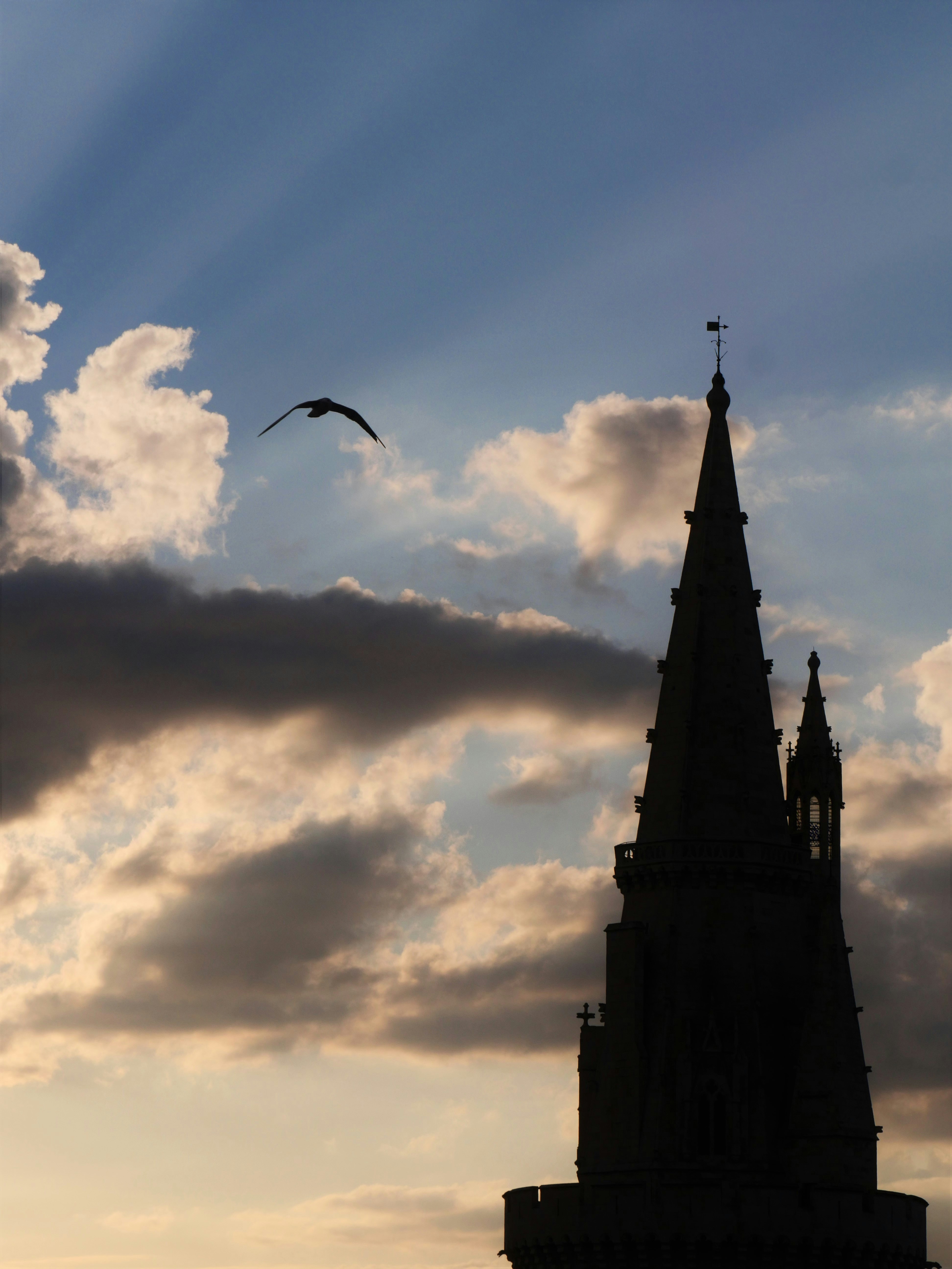 Photo by nimbus_vulpis