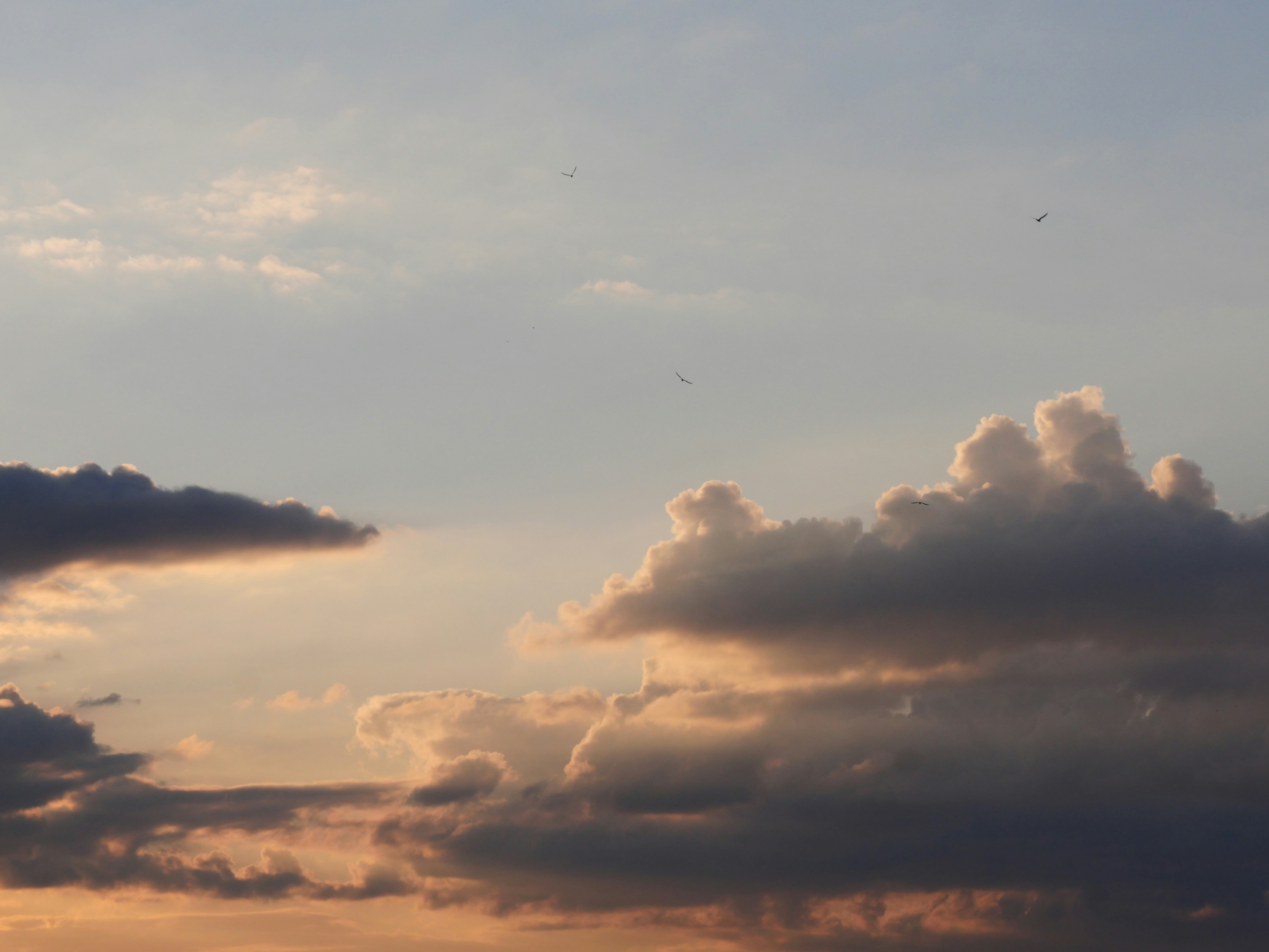 Photo by nimbus_vulpis