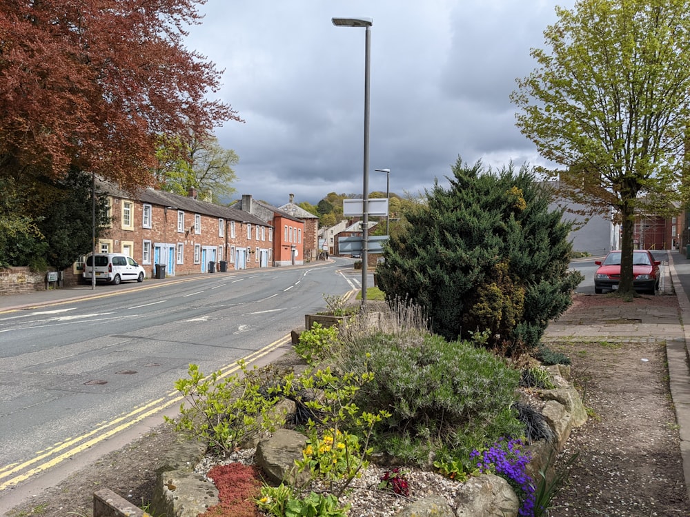 a street with cars and trees