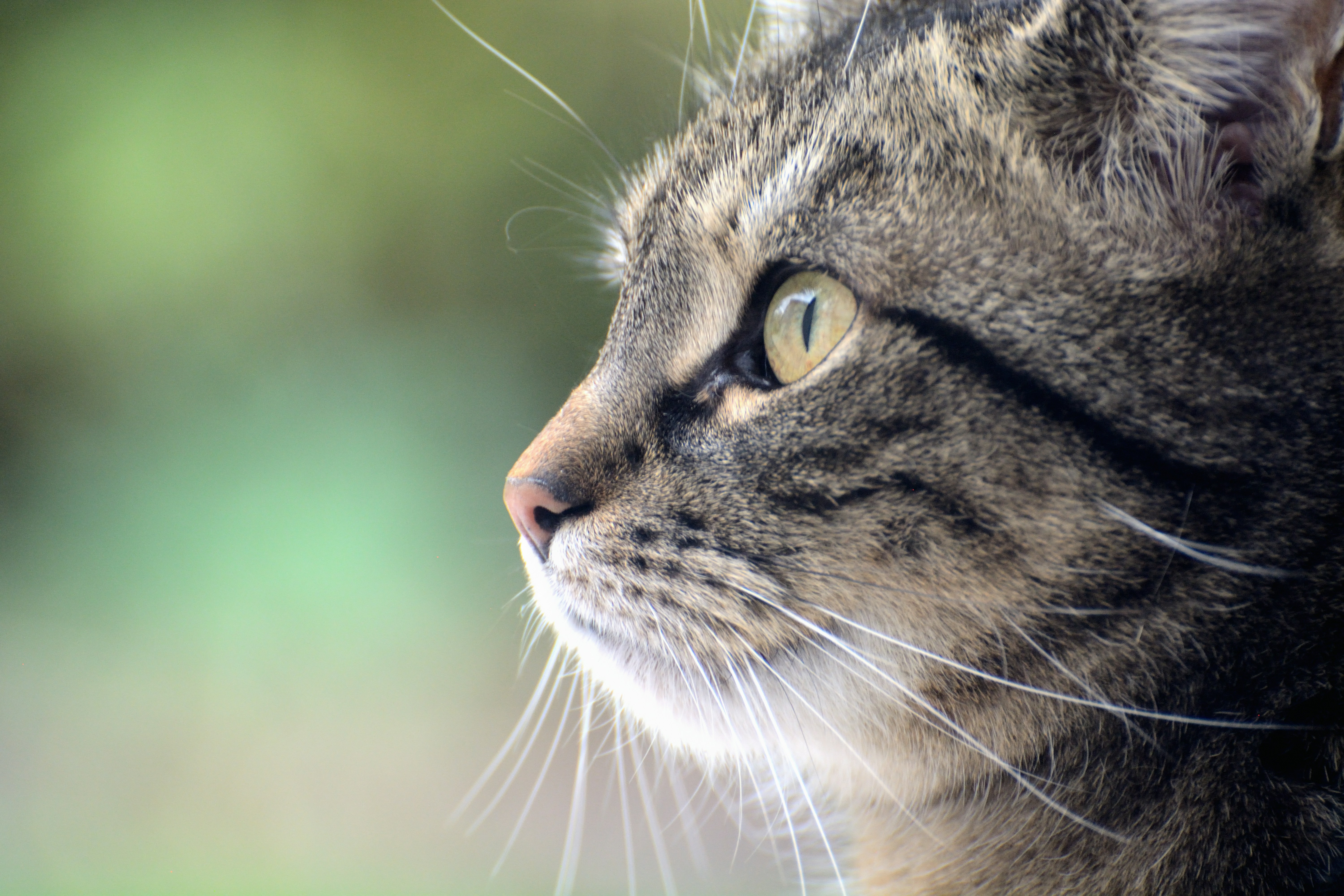 Photo by tom_z_marsu