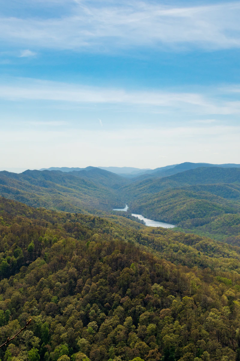River winding through forested Appalachian ridges in East Tennessee