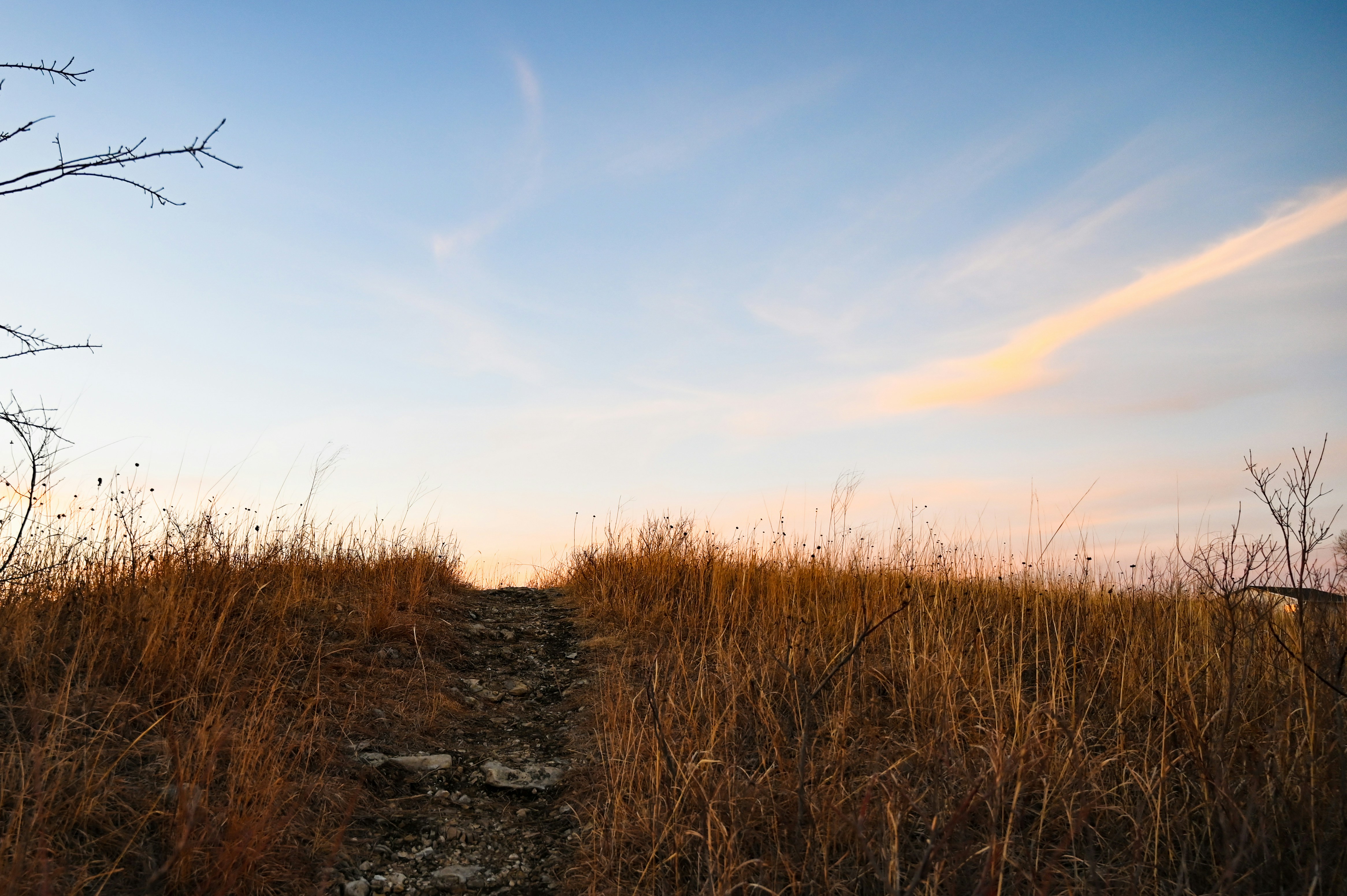 Photo by christopherphigh