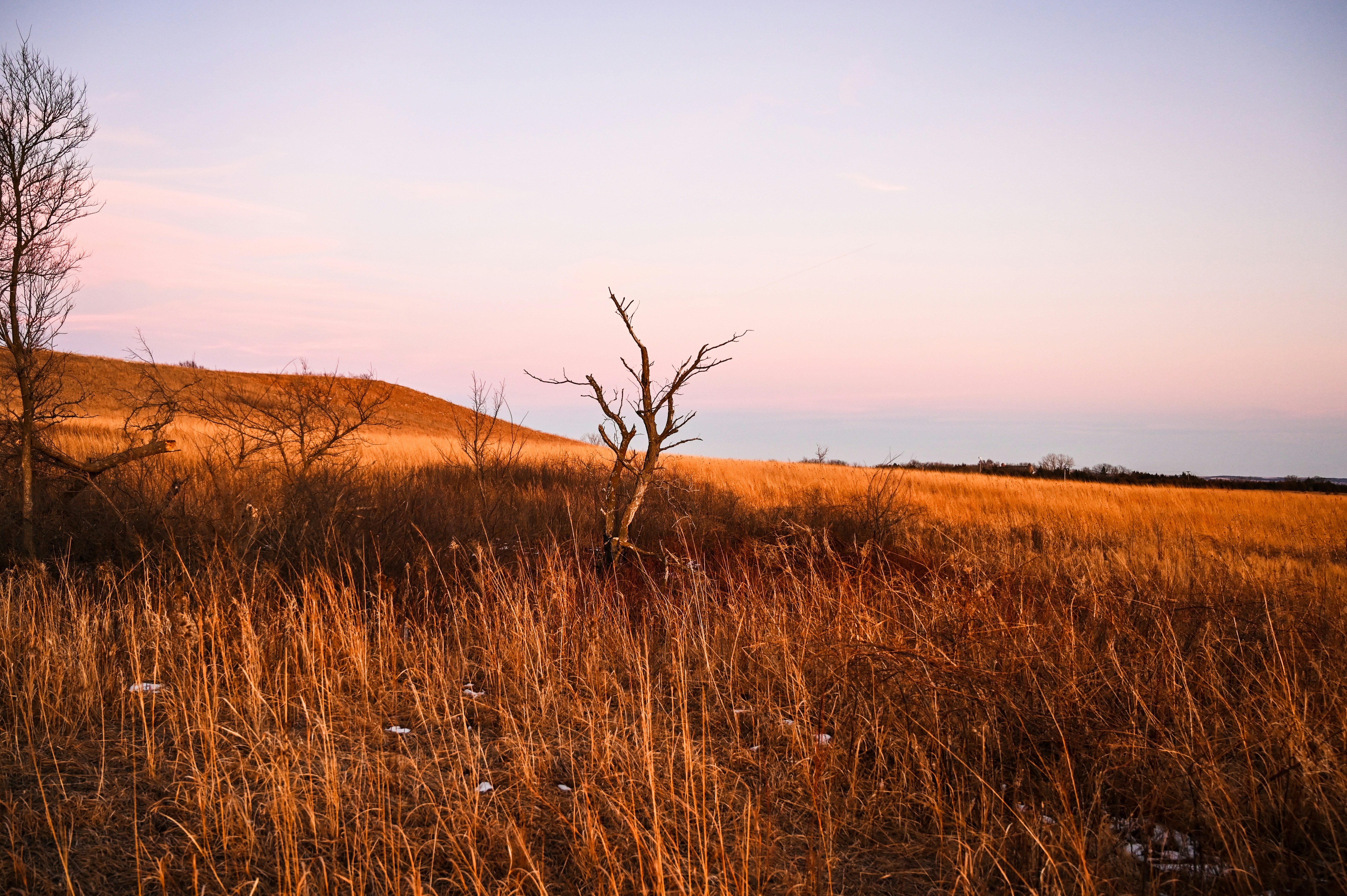 Photo by christopherphigh