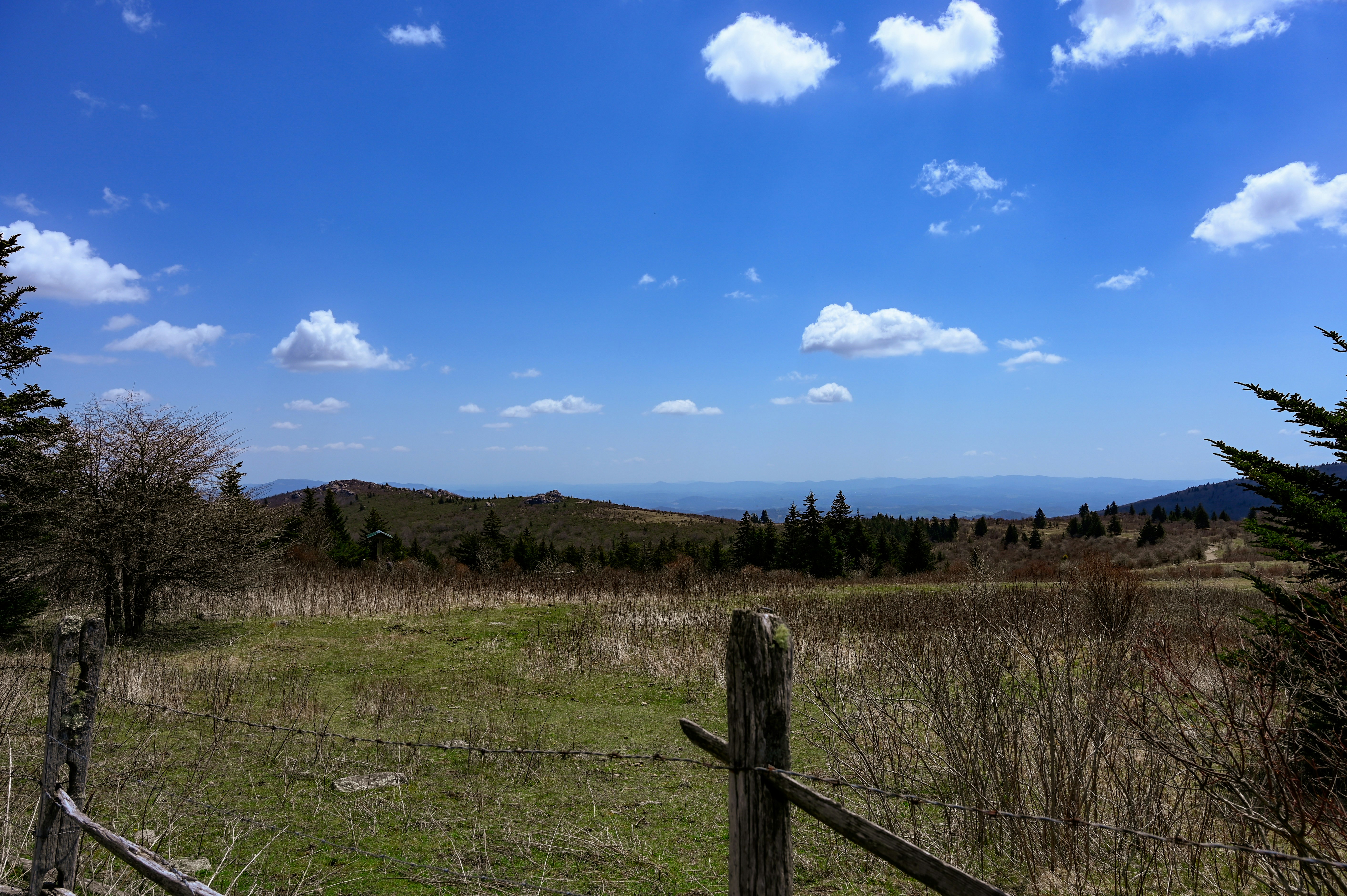 Un campo con una valla y árboles al fondo