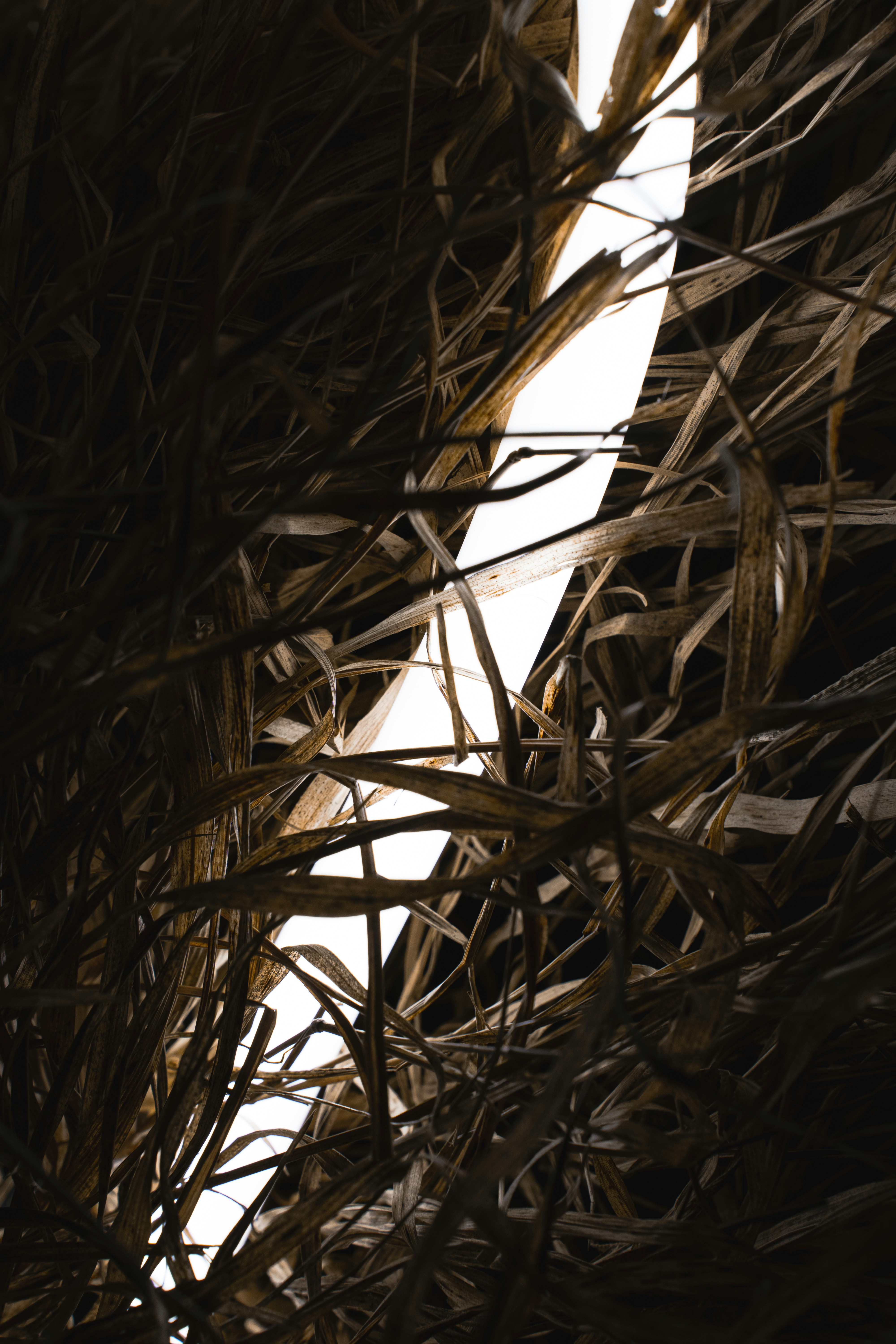 Photo by maksym_tymchyk