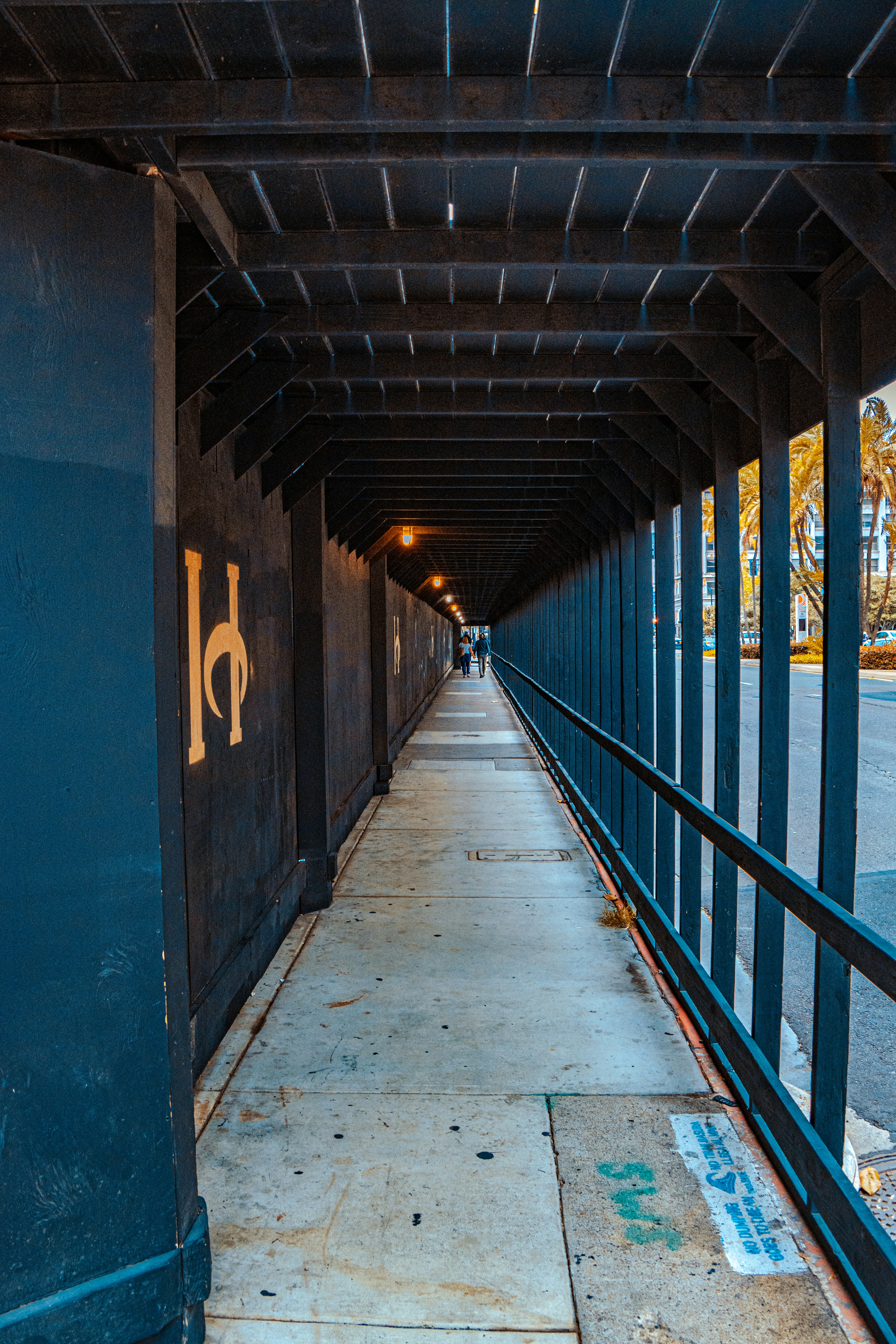 Photo by livingcolortj