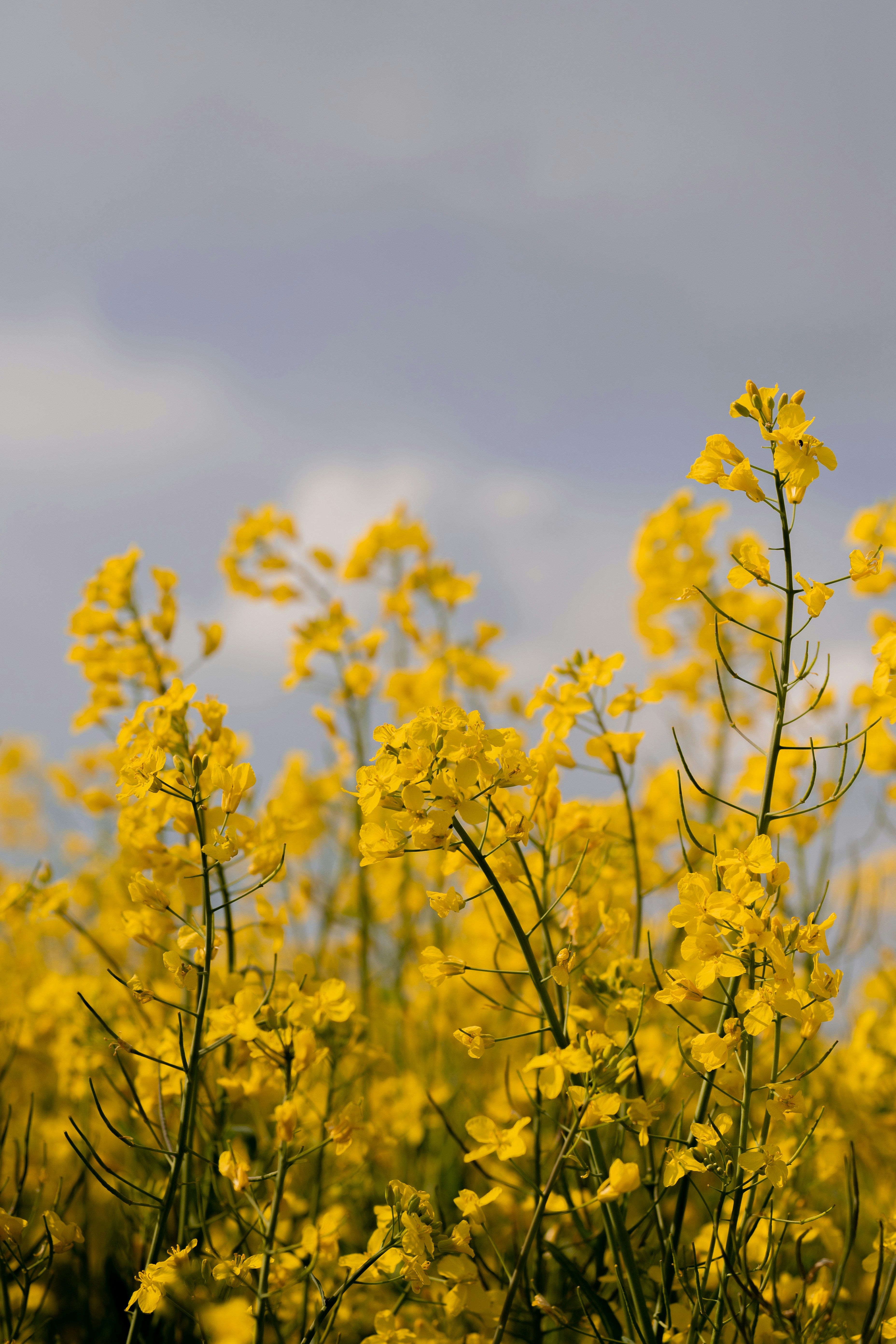 Photo by melanieweidmann_photography