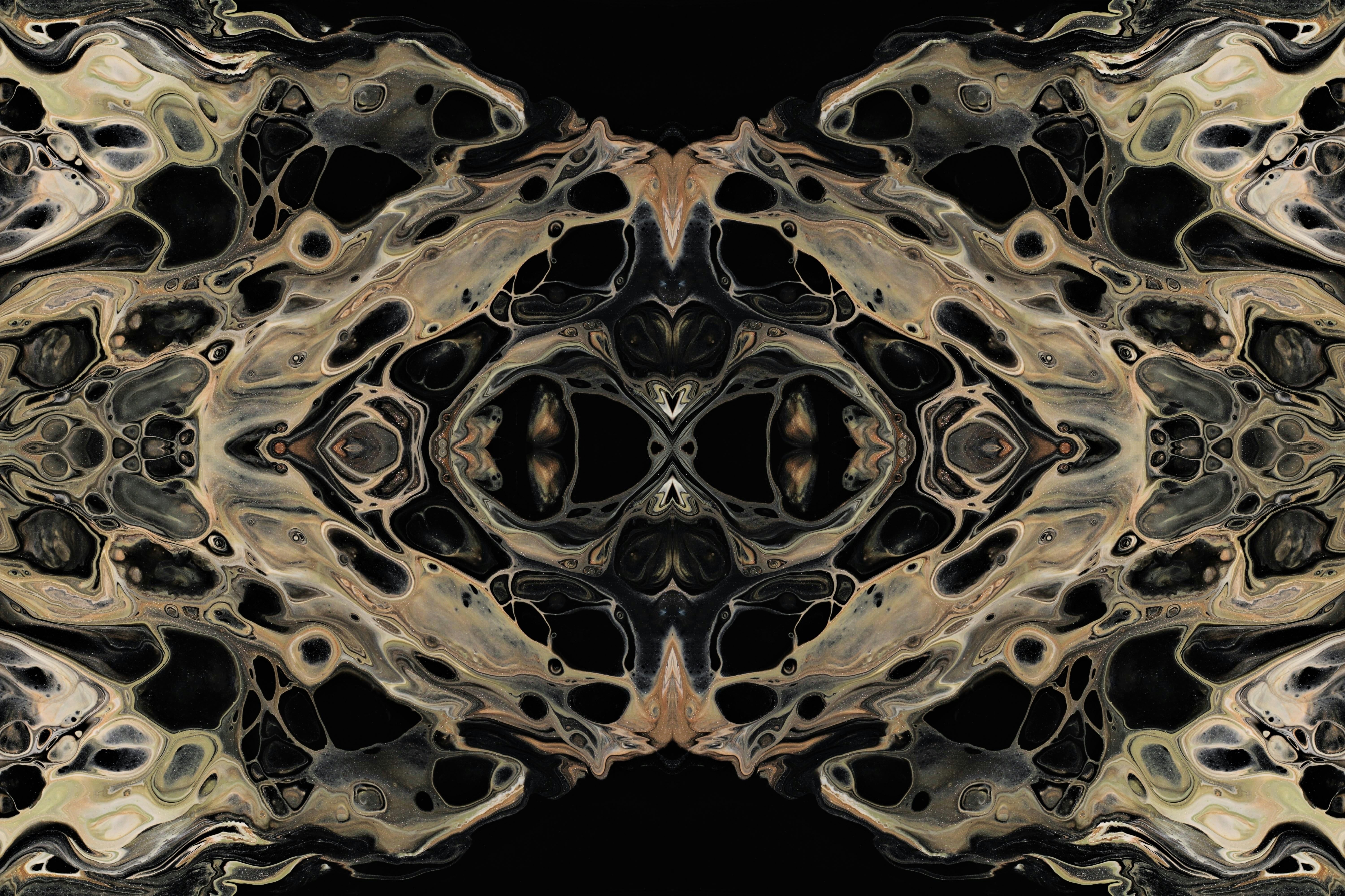 Photo by susan_wilkinson