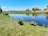 A rustic farm scene with ducks roaming freely and a customer enjoying the peaceful surroundings.