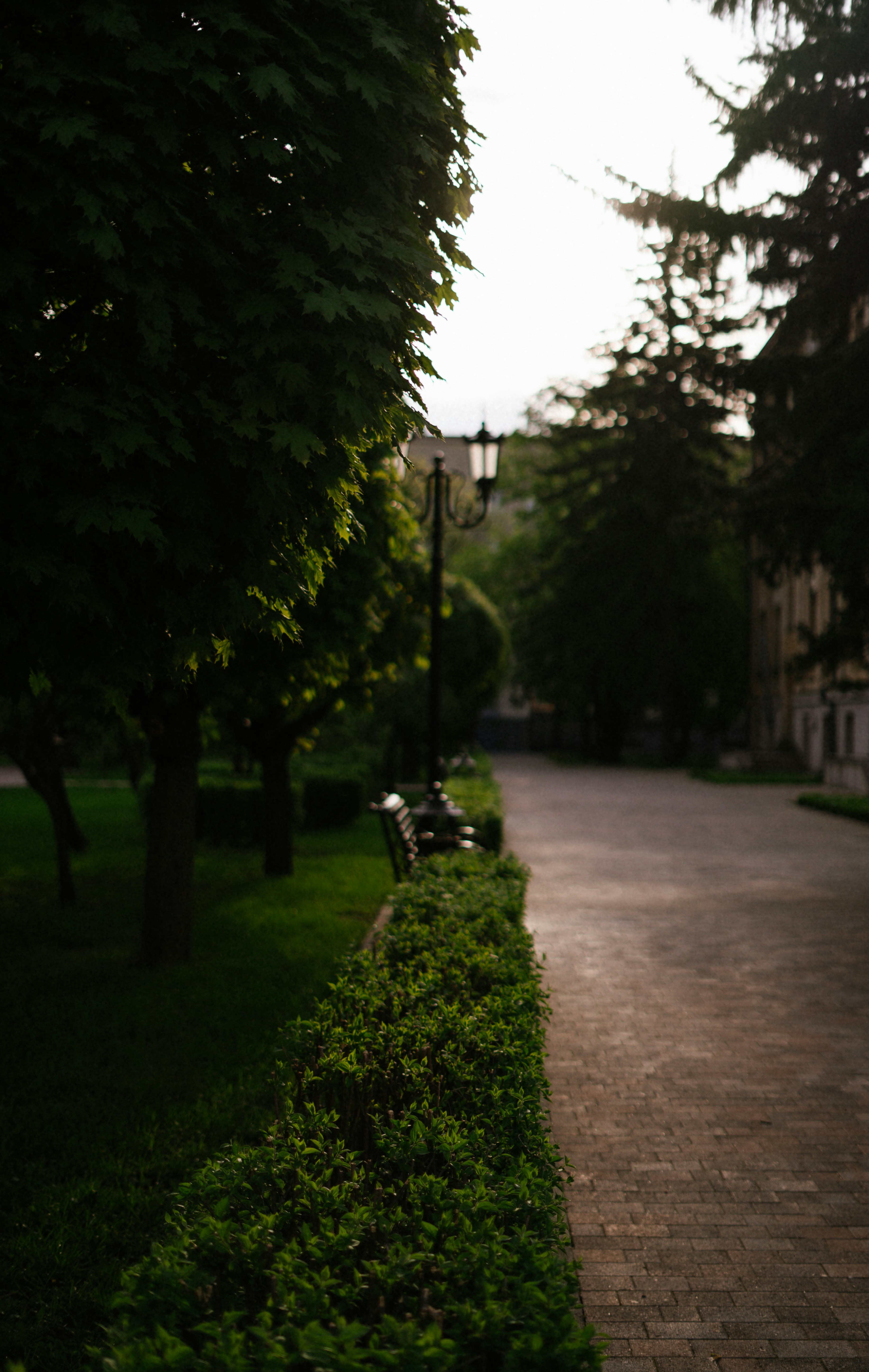 Photo by albina___white